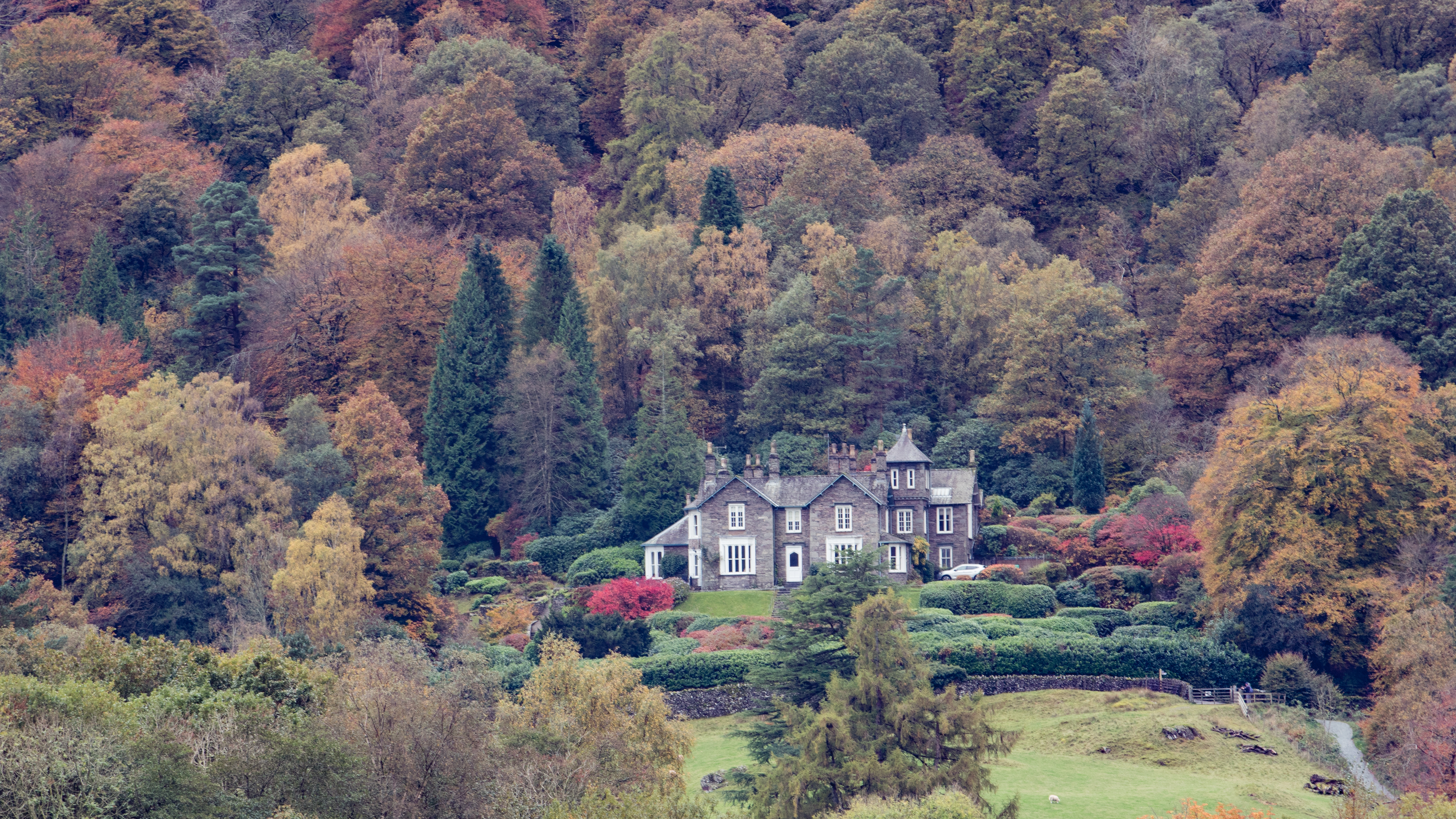 Rainbow Coloured Trees in Autumn Greeting Card