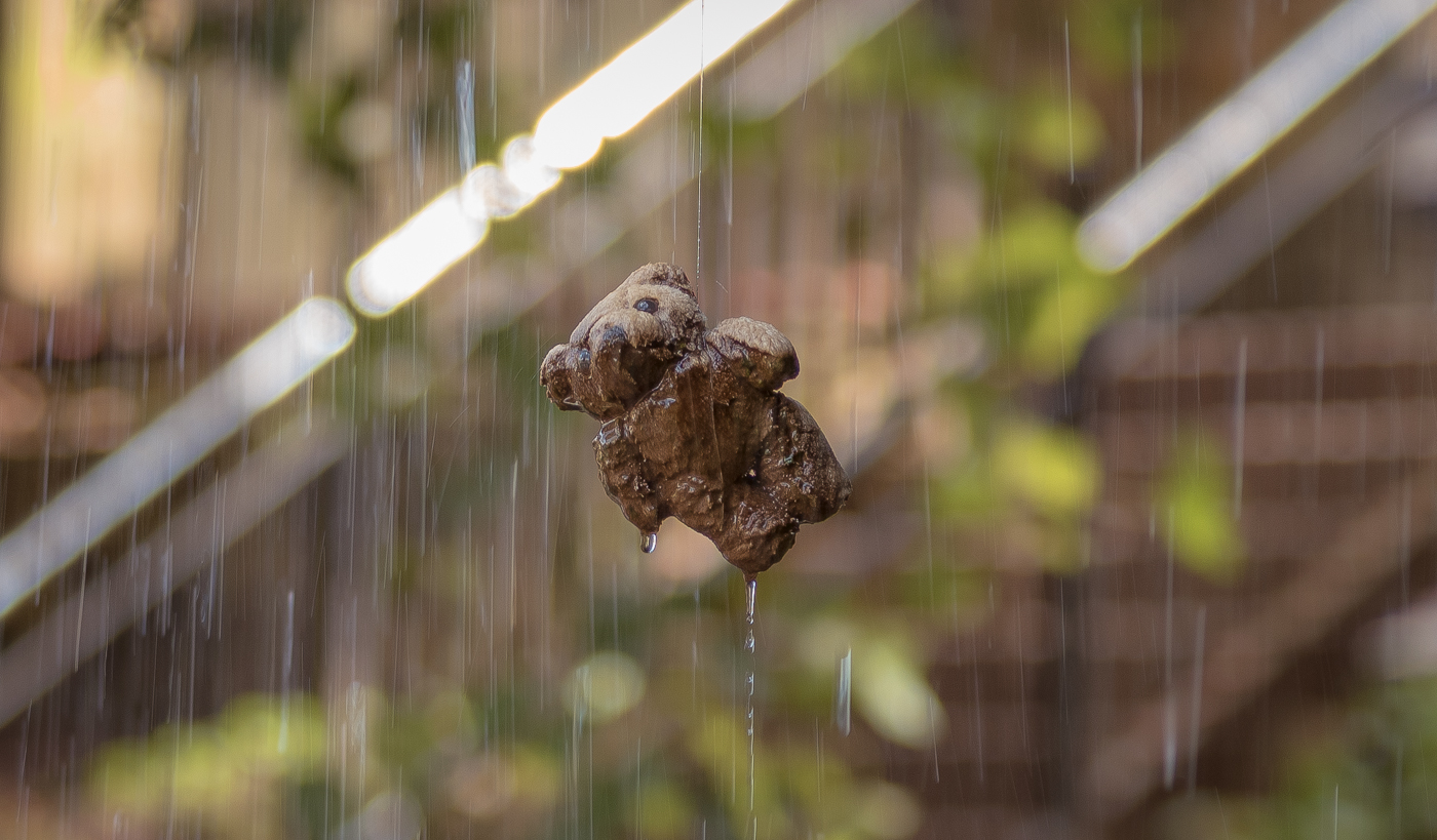 Pertfied Teddy Bear Turned Into Stone Greeting Card 