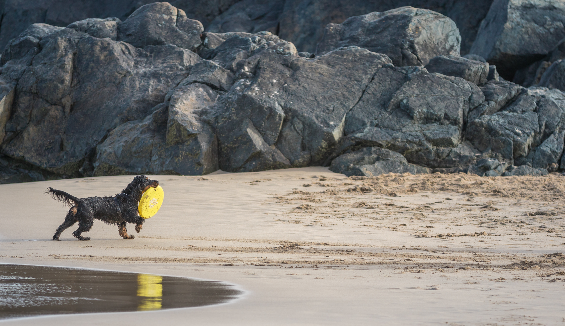 Me And My Best Friend Greeting Card 