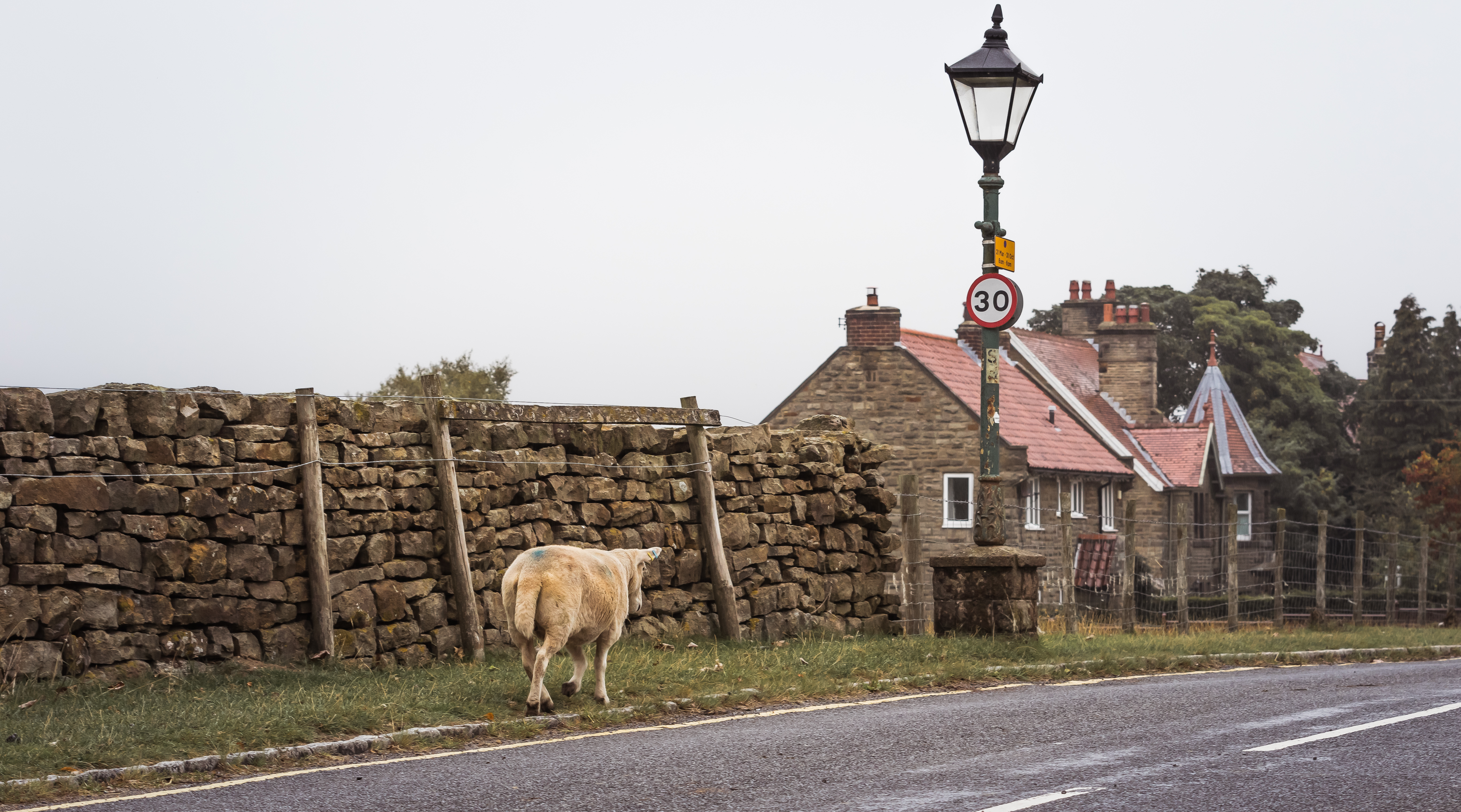 30 Mile Zone Greeting Card