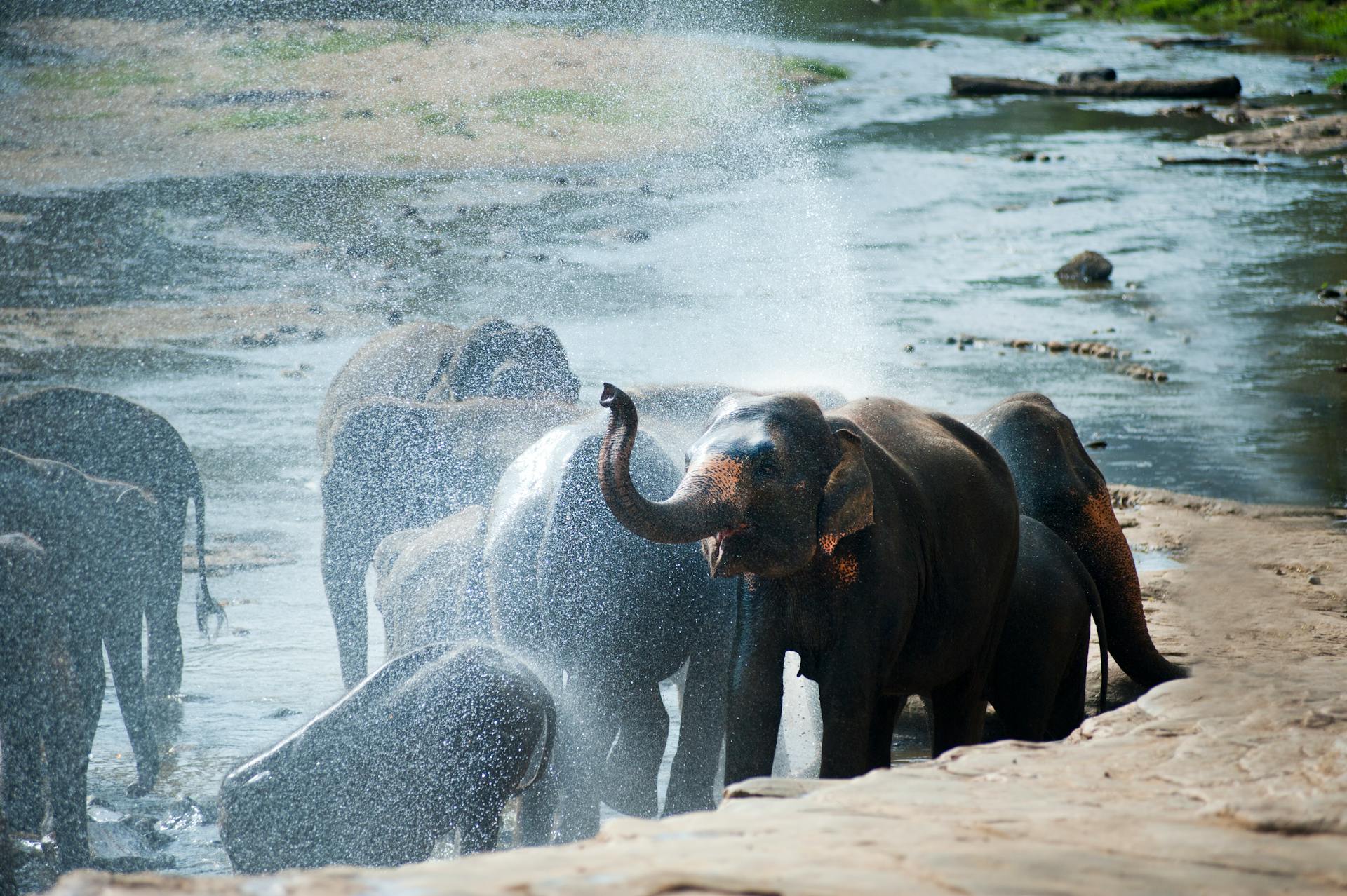 Learn More: £900/PP: book now  or register now for our 12 days 11 nights travel package