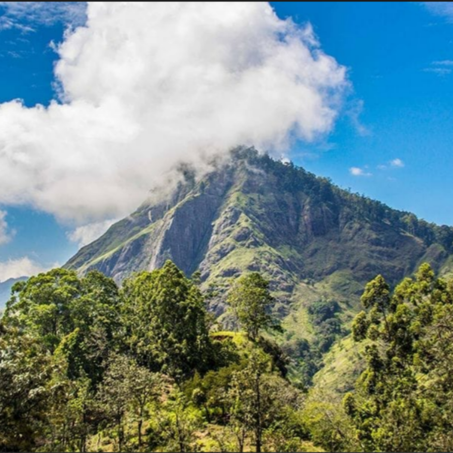 Learn More: £800/PP: 6 Days 5 Nights- Kandy Temple, Ella Zipline, Sigiriya, Galle Beach, Colombo