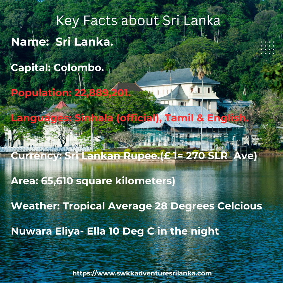 Learn More: £800/PP: 6 Days 5 Nights- Kandy Temple, Ella Zipline, Sigiriya, Galle Beach, Colombo