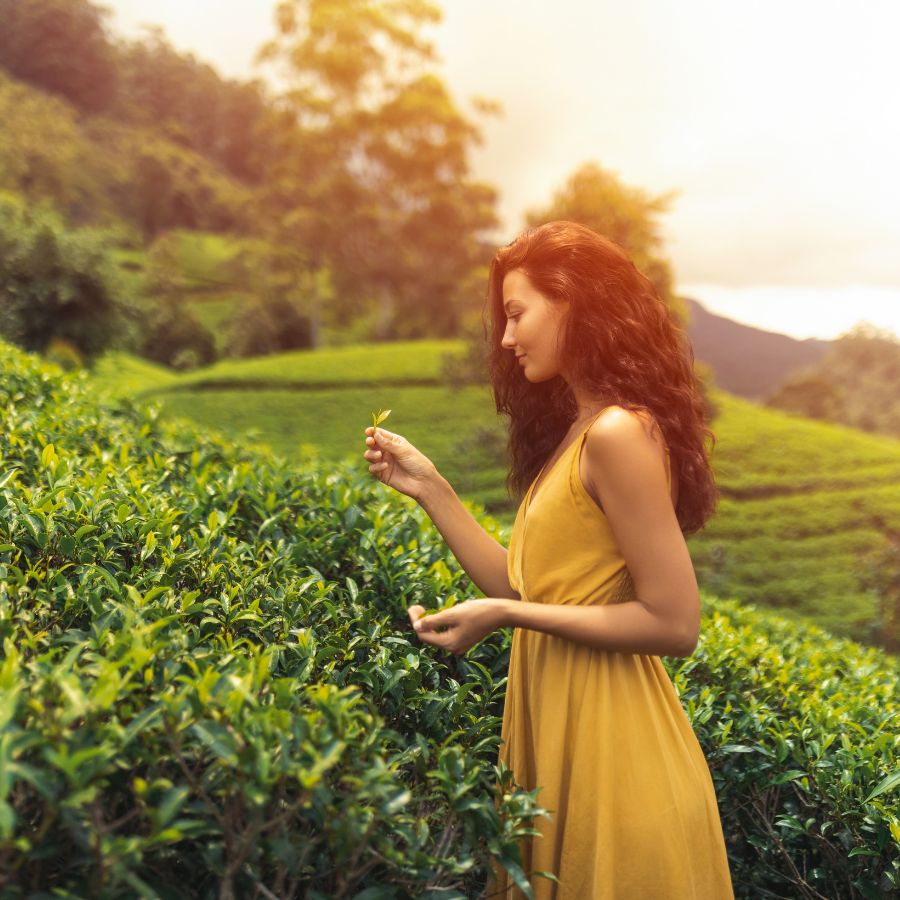 Learn More: £850/PP:  9 Days-8 Nights: Sigiriya, A'Pura, Rock Fortress, Ella, Zip Line, Galle Beaches, Wild Life safari, Colombo and many more.