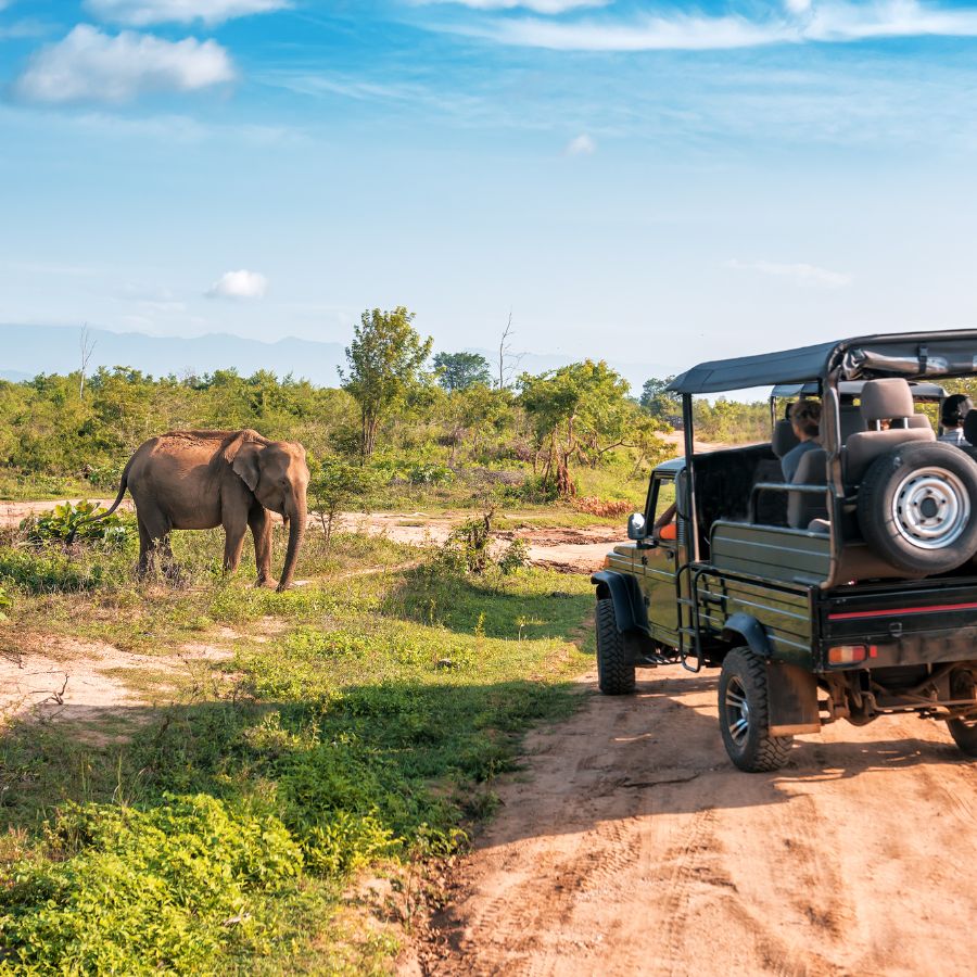 Learn more: £900/PP Tour No 16:  13 Days - 12 Nights, from £900.00 any day until 31st Dec 2025