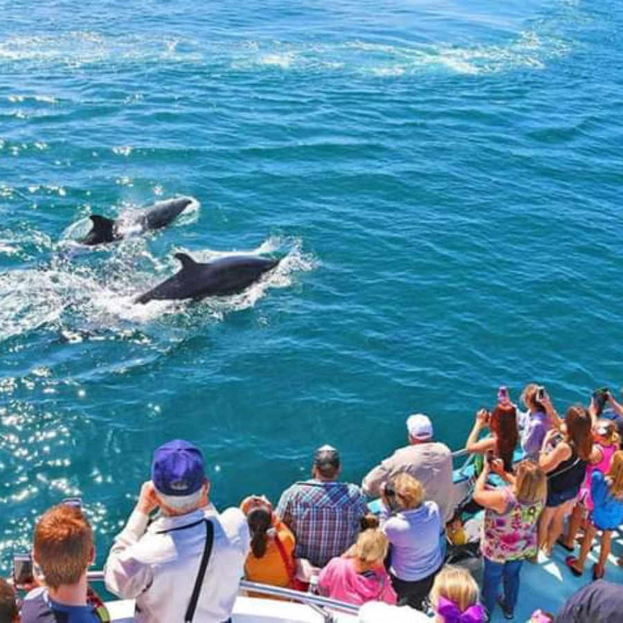 Learn More £2400/PP: 29 Days: Tour No 1, Jaffna and Covering 28 Destinations. Please see the tour-Map to decide your preference. 