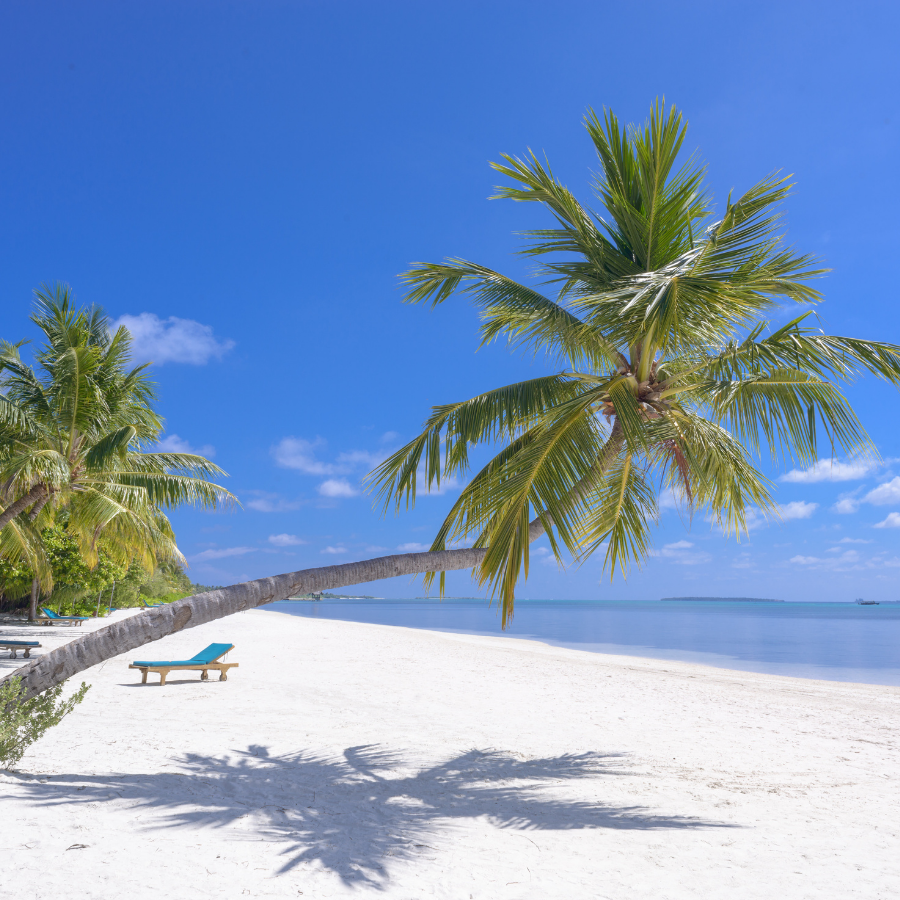 Learn More: £950/PP :15 days 14 nights in 2025