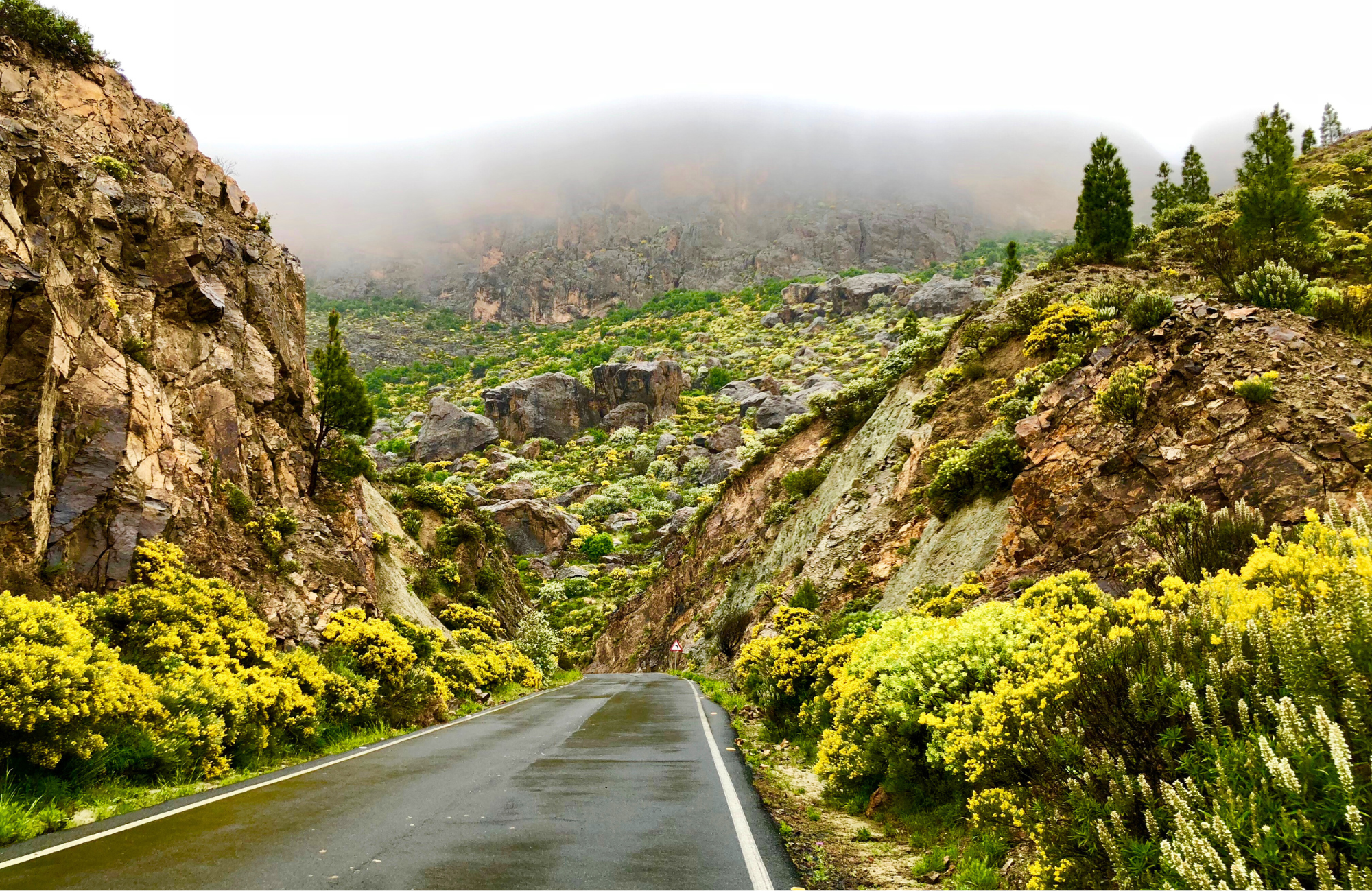 Gran Canaria Norden: PRIVATES 4K Drohnen-Urlaubsvideo - Entdecke die Highlights der Insel