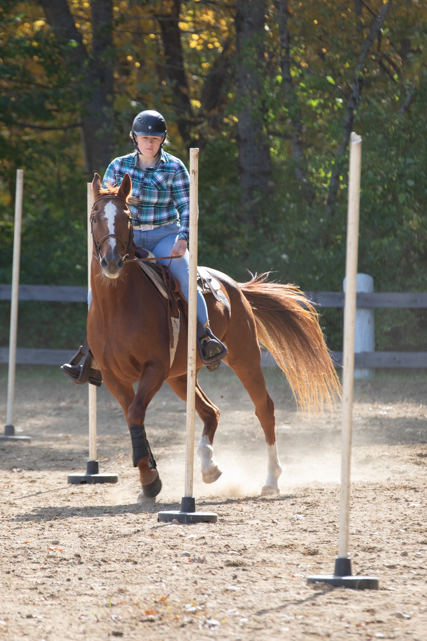 Donate to the Maine Trail Riders