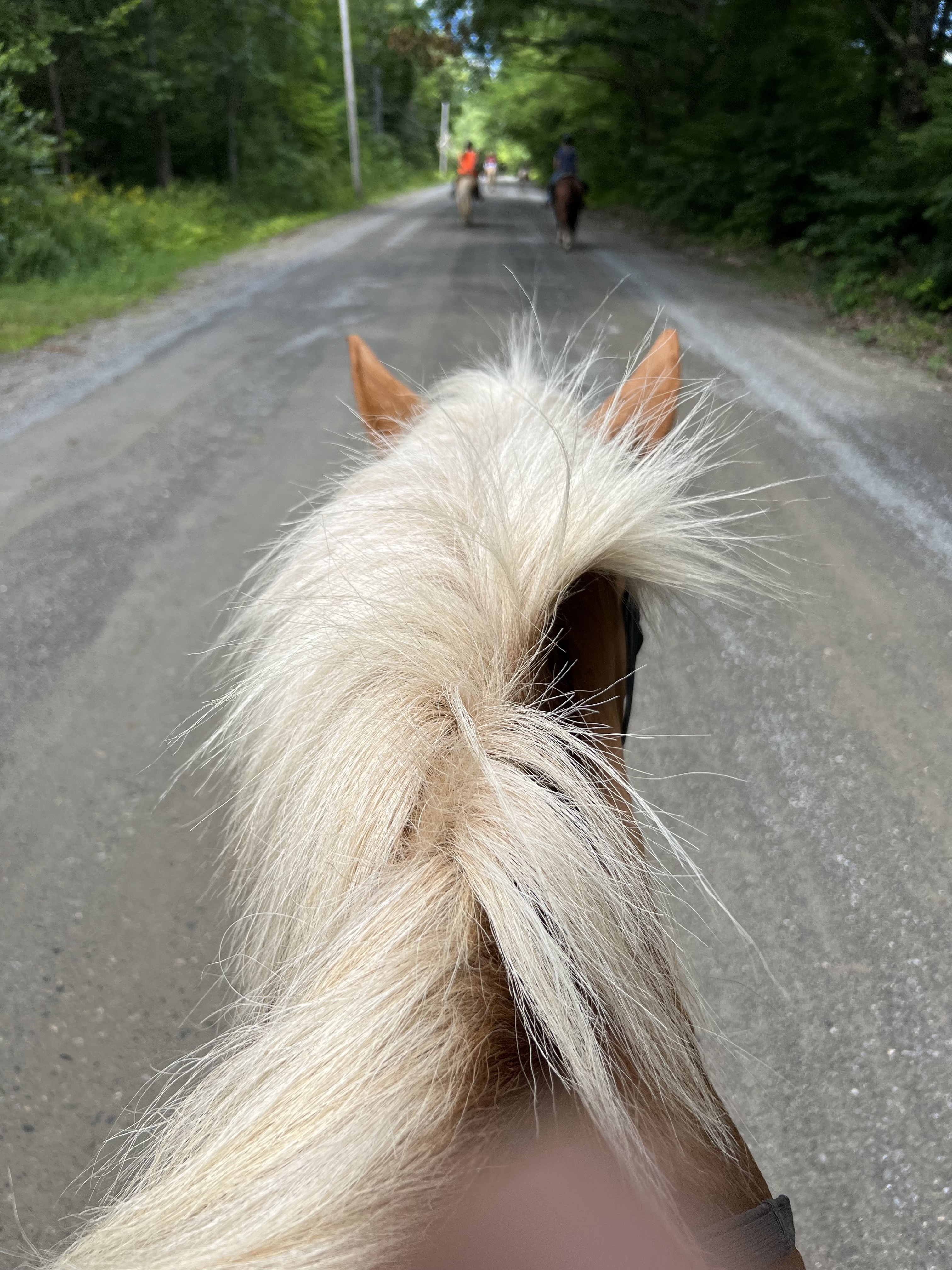 Join a Trail Ride