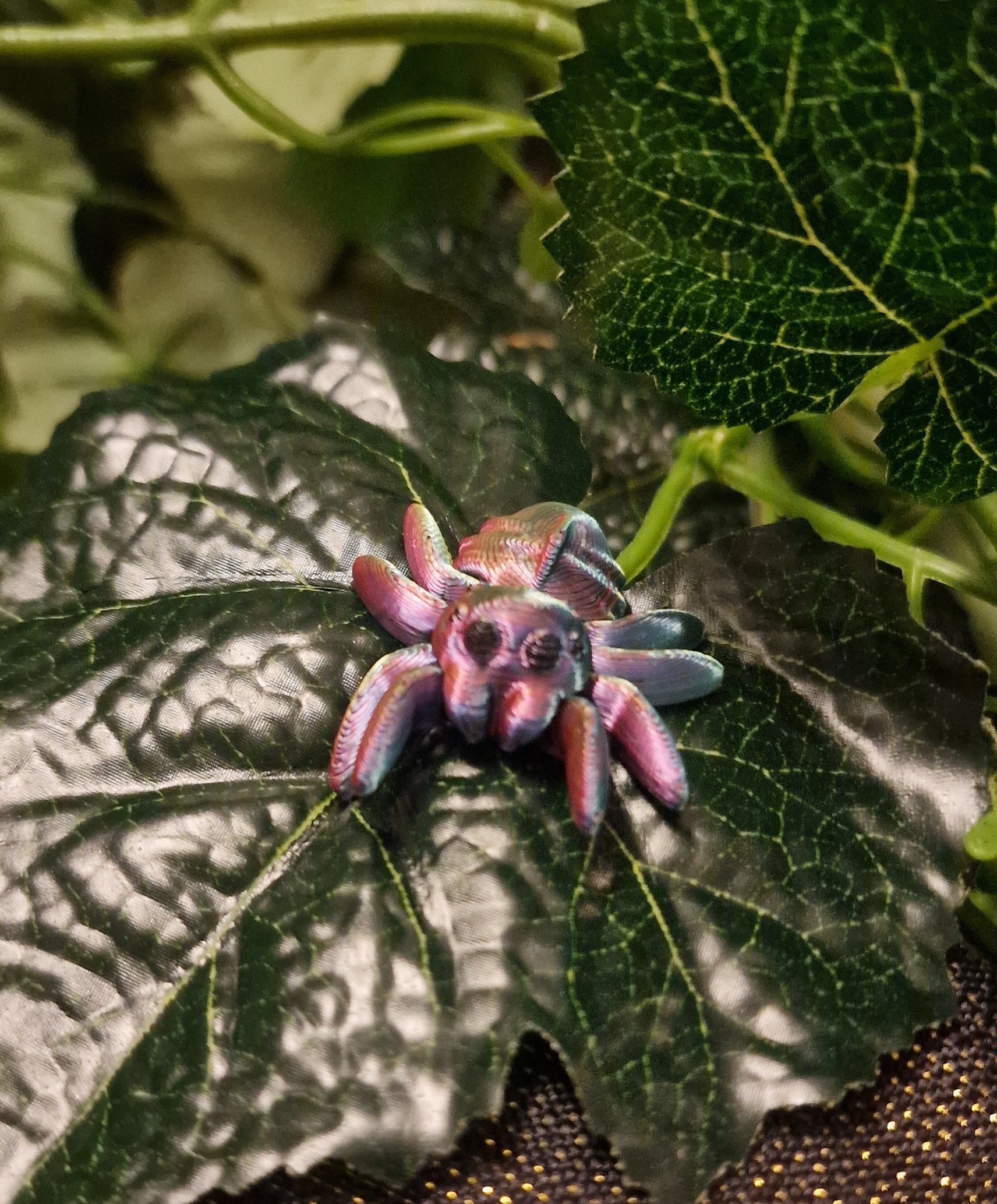 Petite araignée