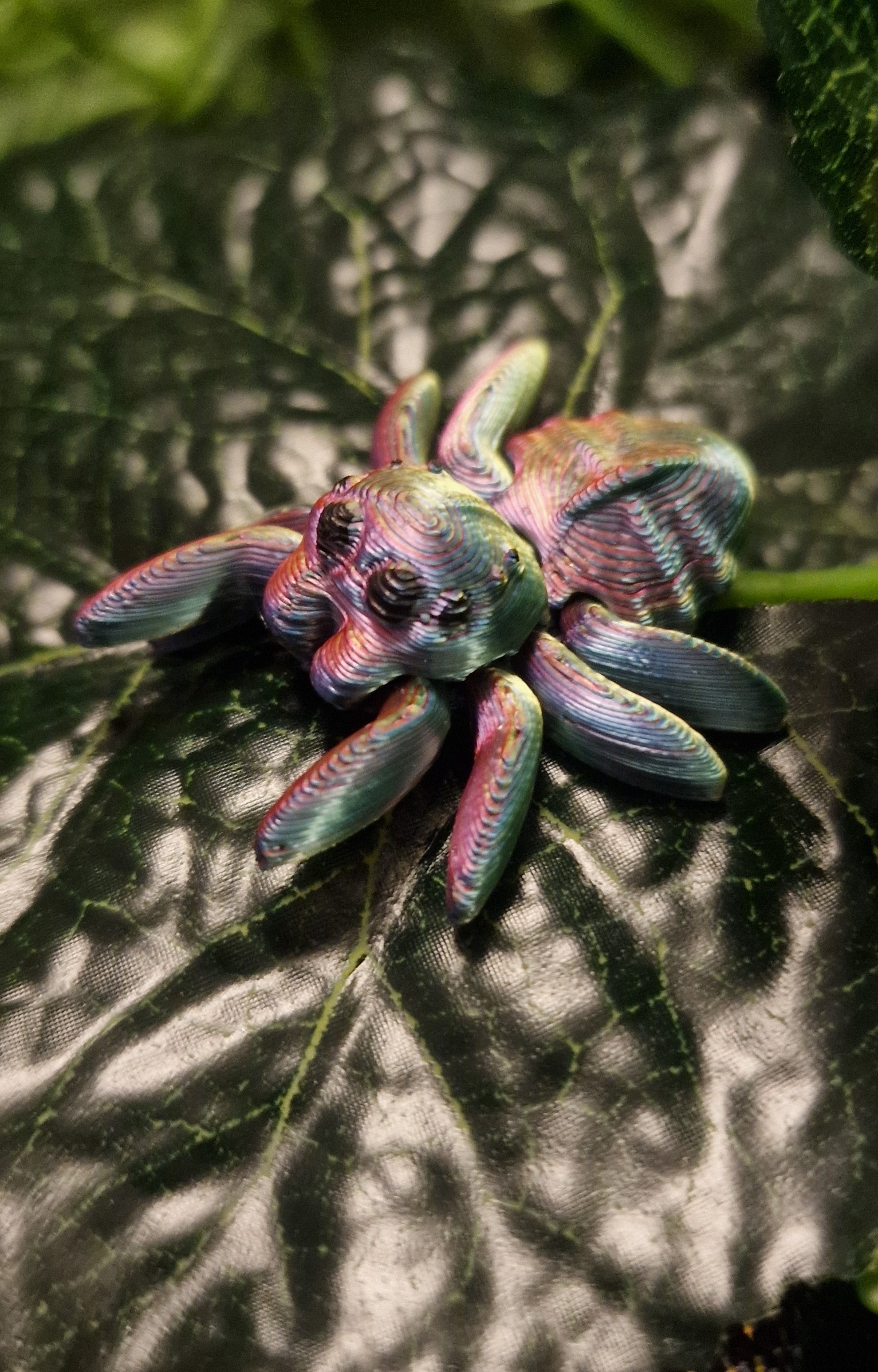 Petite araignée
