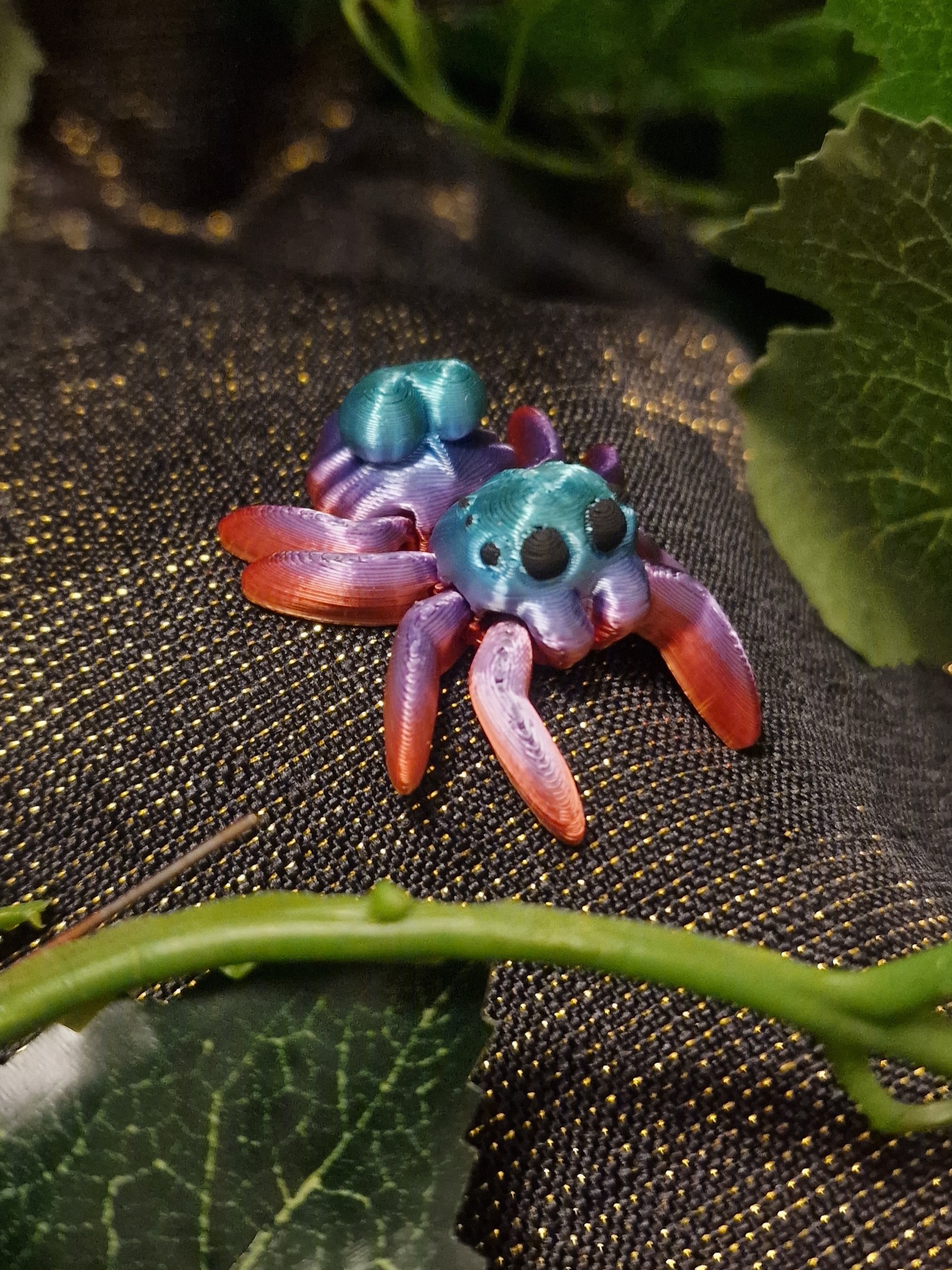 Petite araignée de Coeur