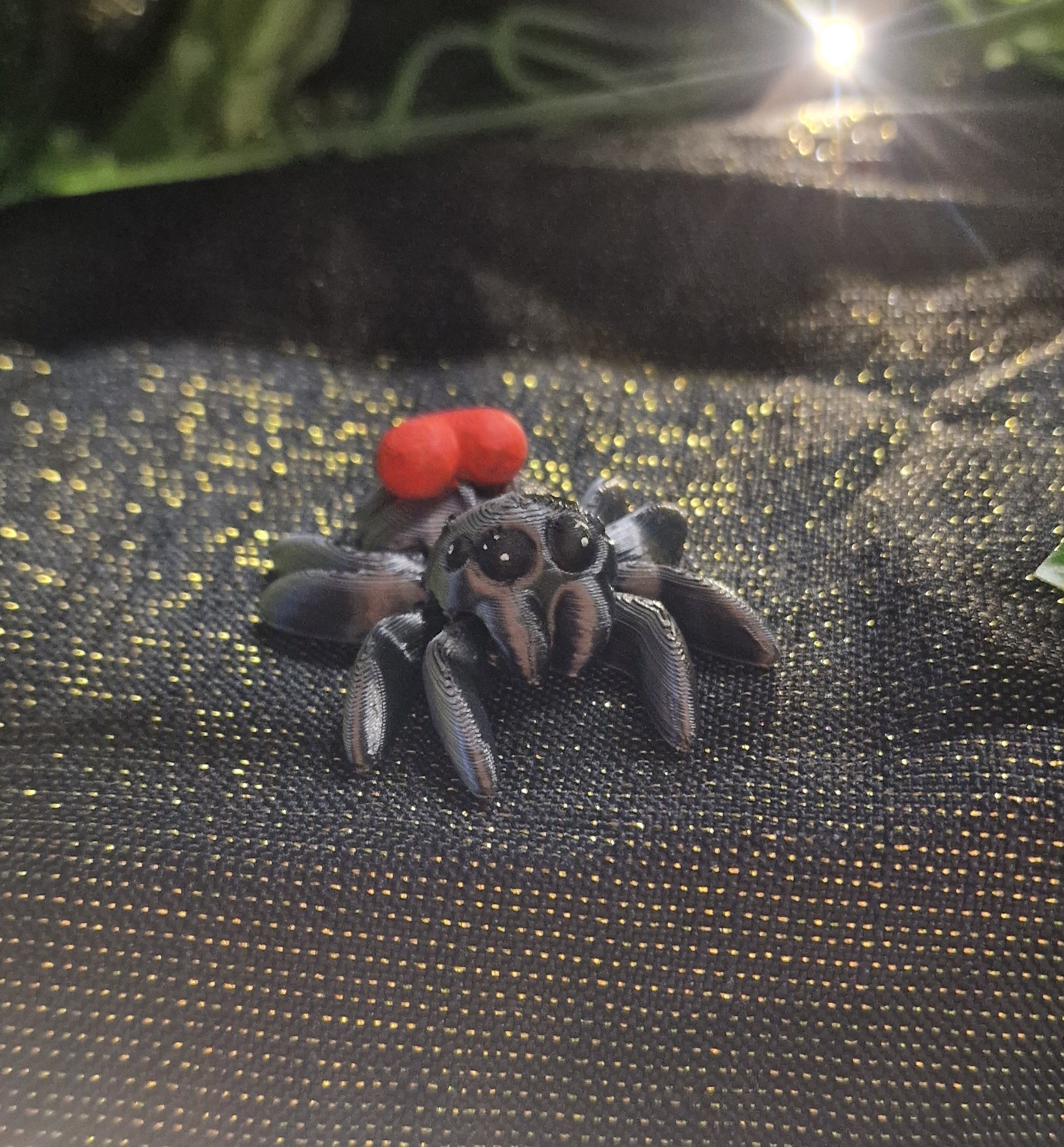 Petite araignée de Coeur