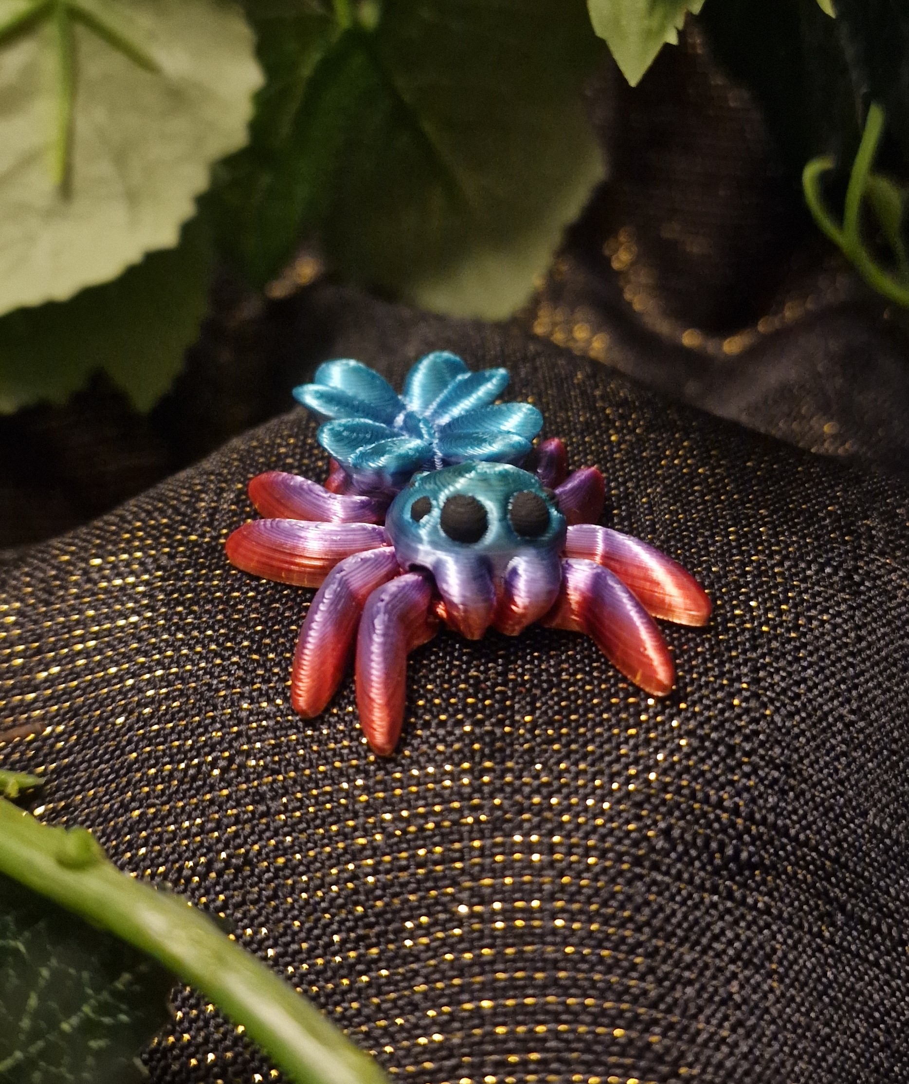 Petite araignée de Trèfle