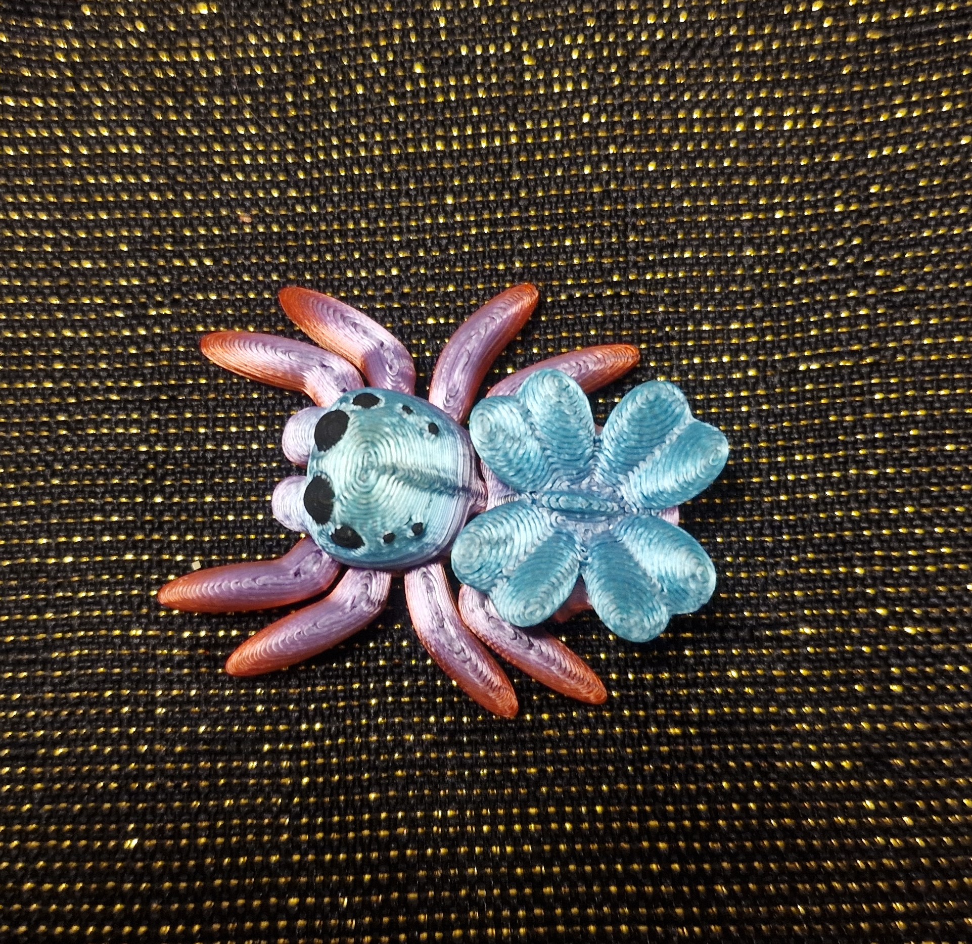 Petite araignée de Trèfle
