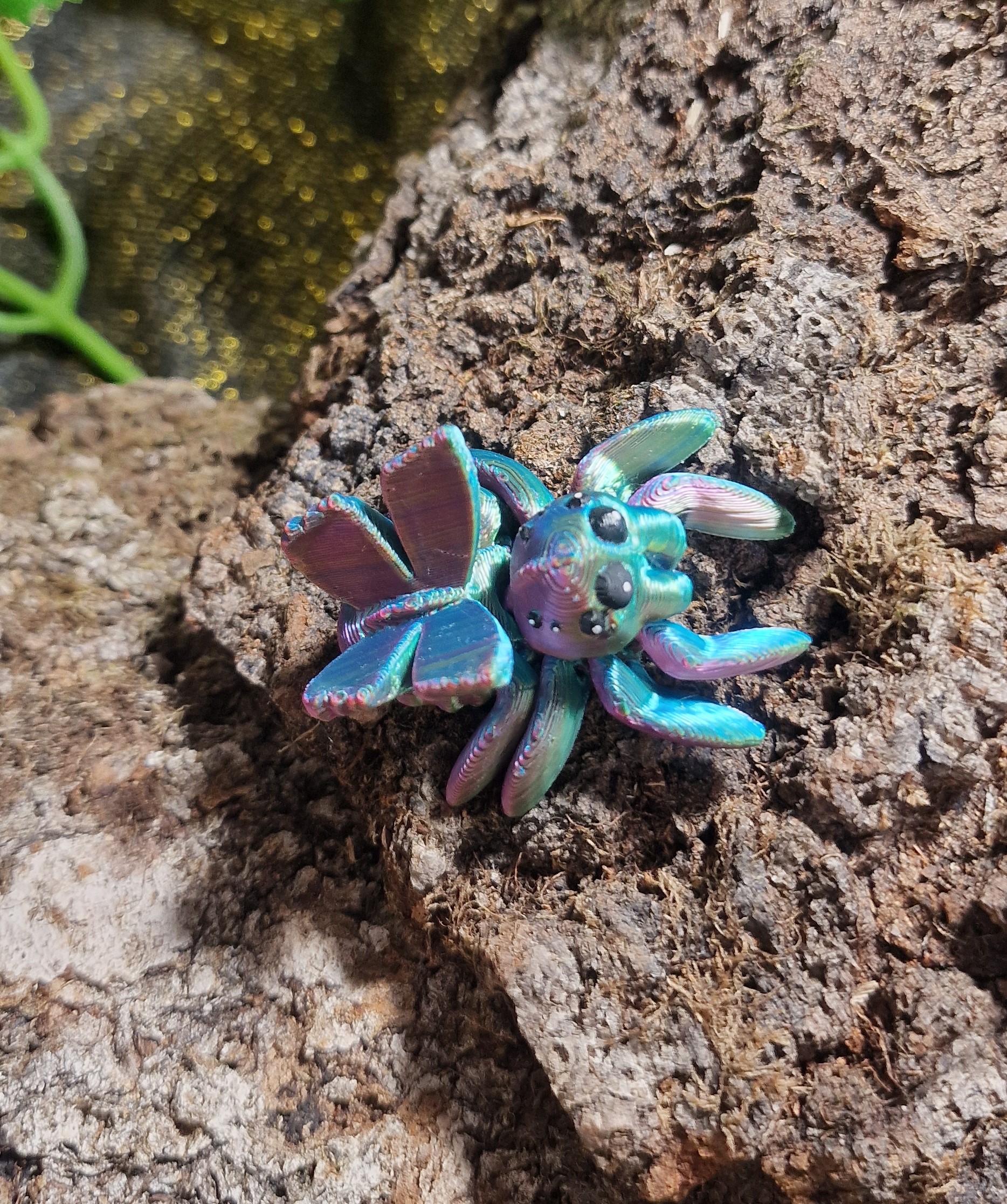 Petite araignée Fée