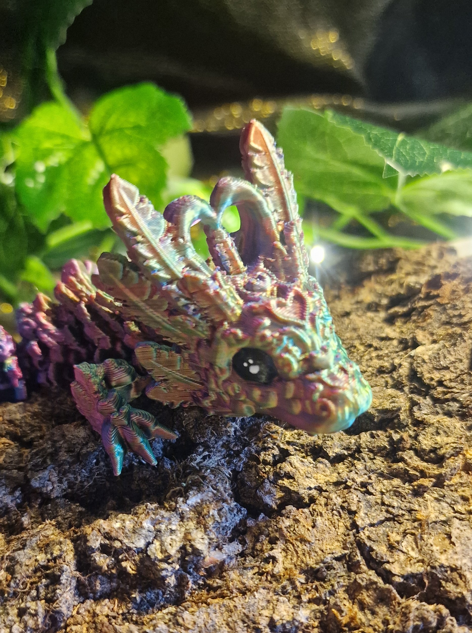 Bébé Dragon au Coeur Léger