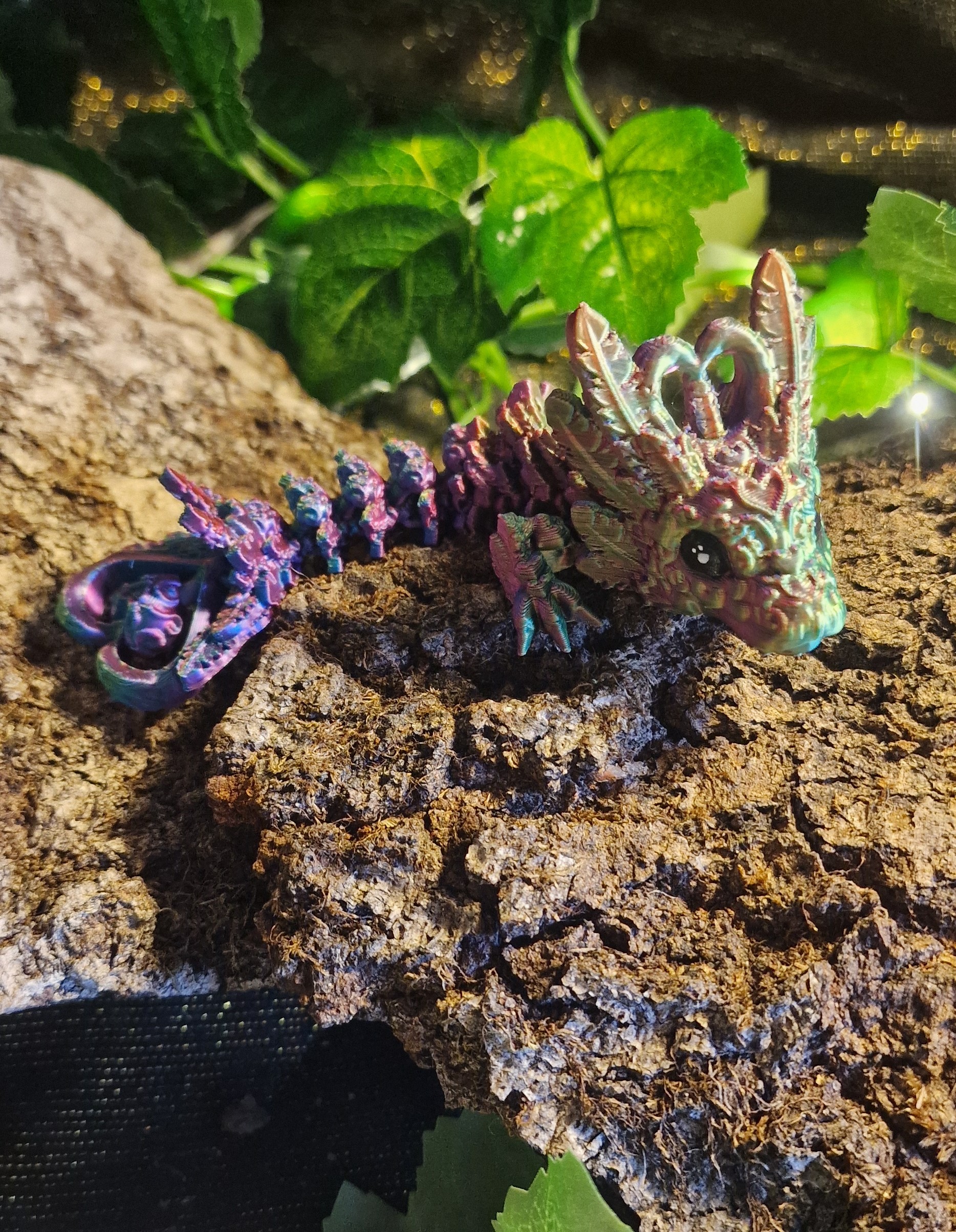 Bébé Dragon au Coeur Léger