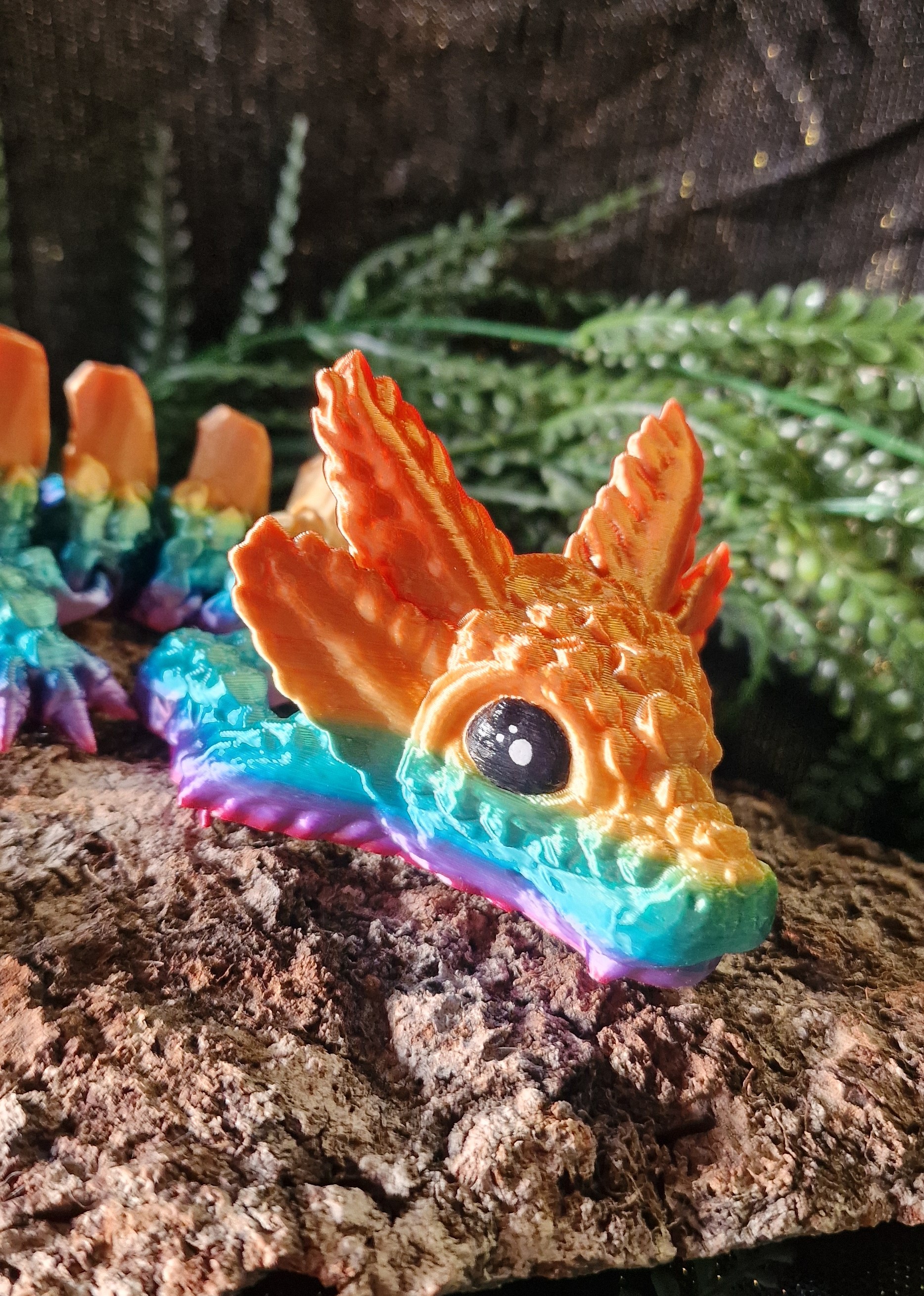 Bébé Dragon-Axolotl