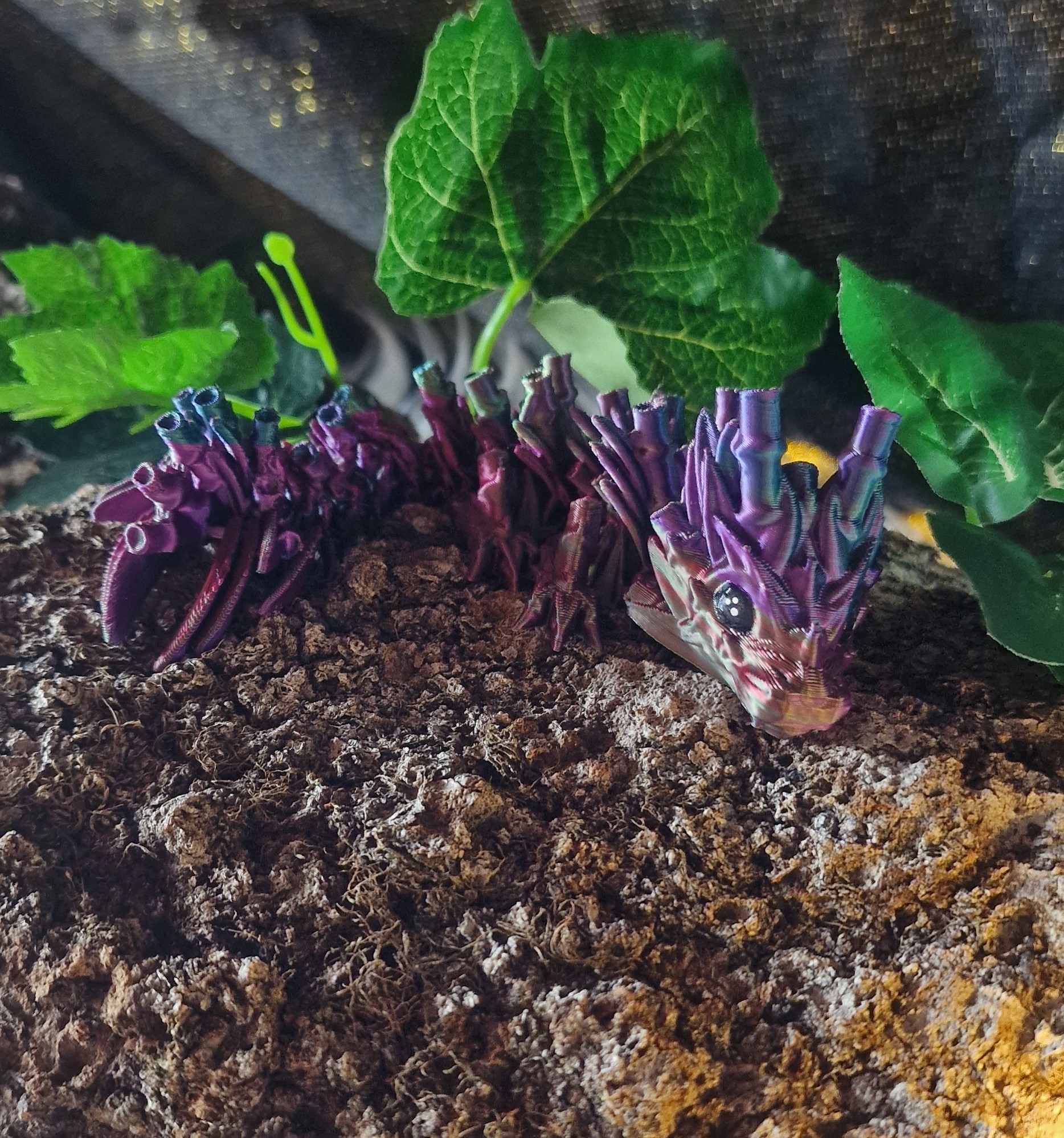 Bébé Dragon de Bambou