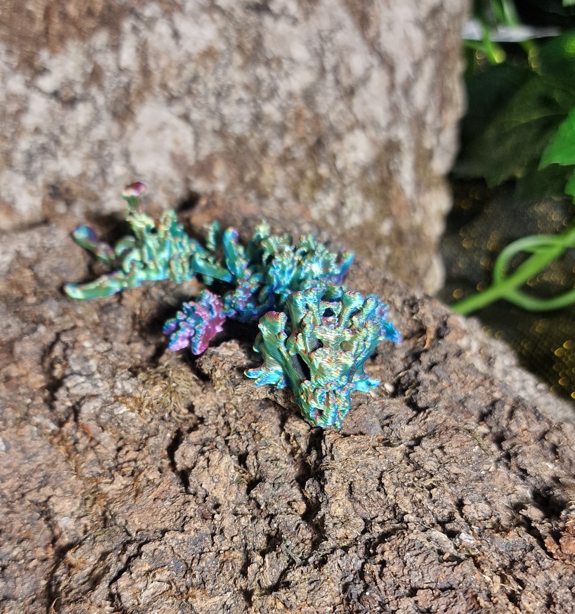 Bébé Dragon Creux
