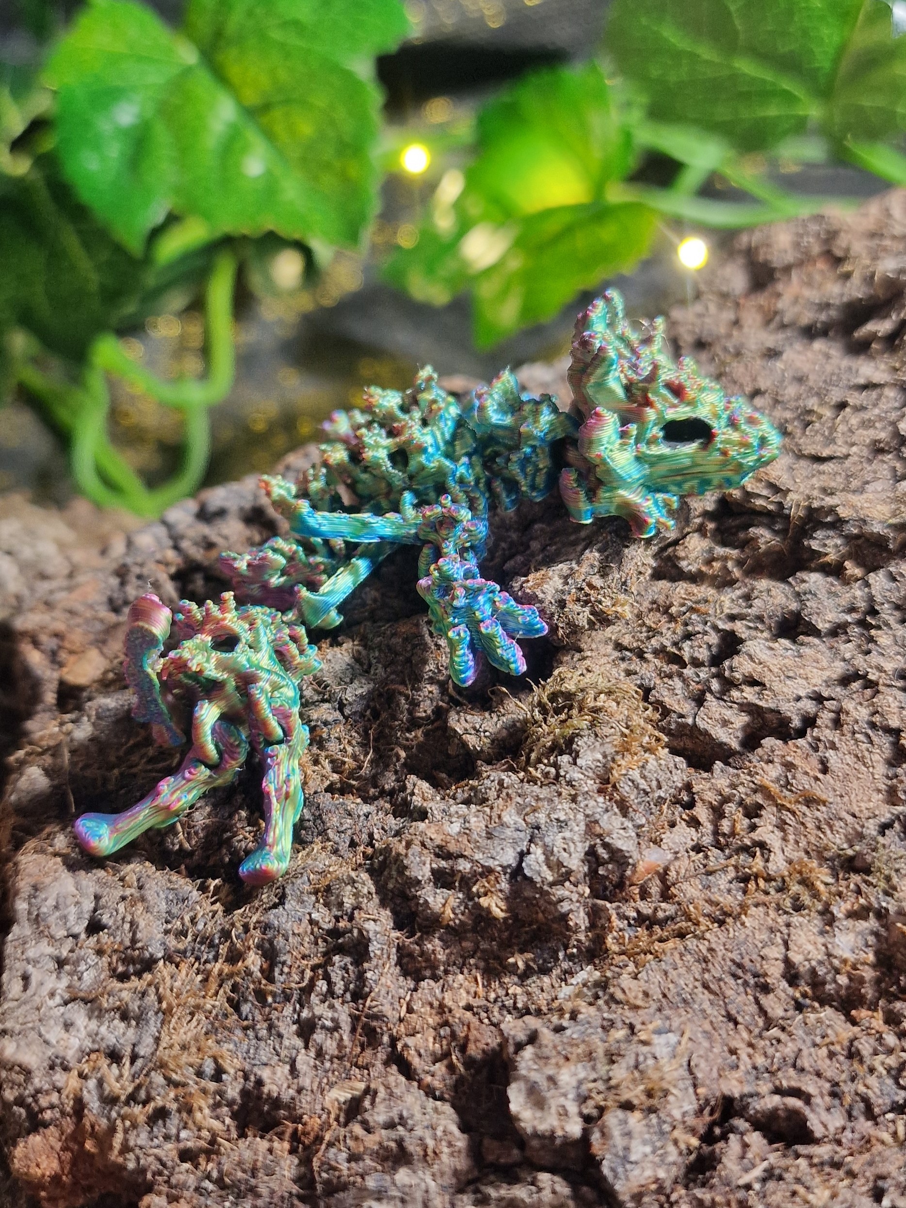 Bébé Dragon Creux