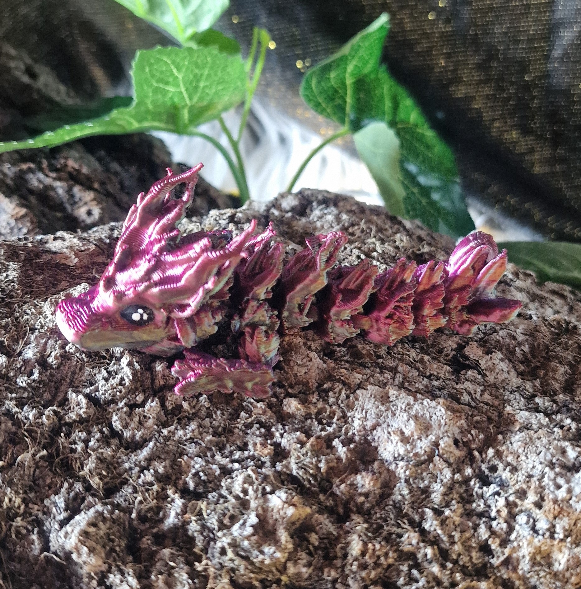 Bébé Dragon des Bois