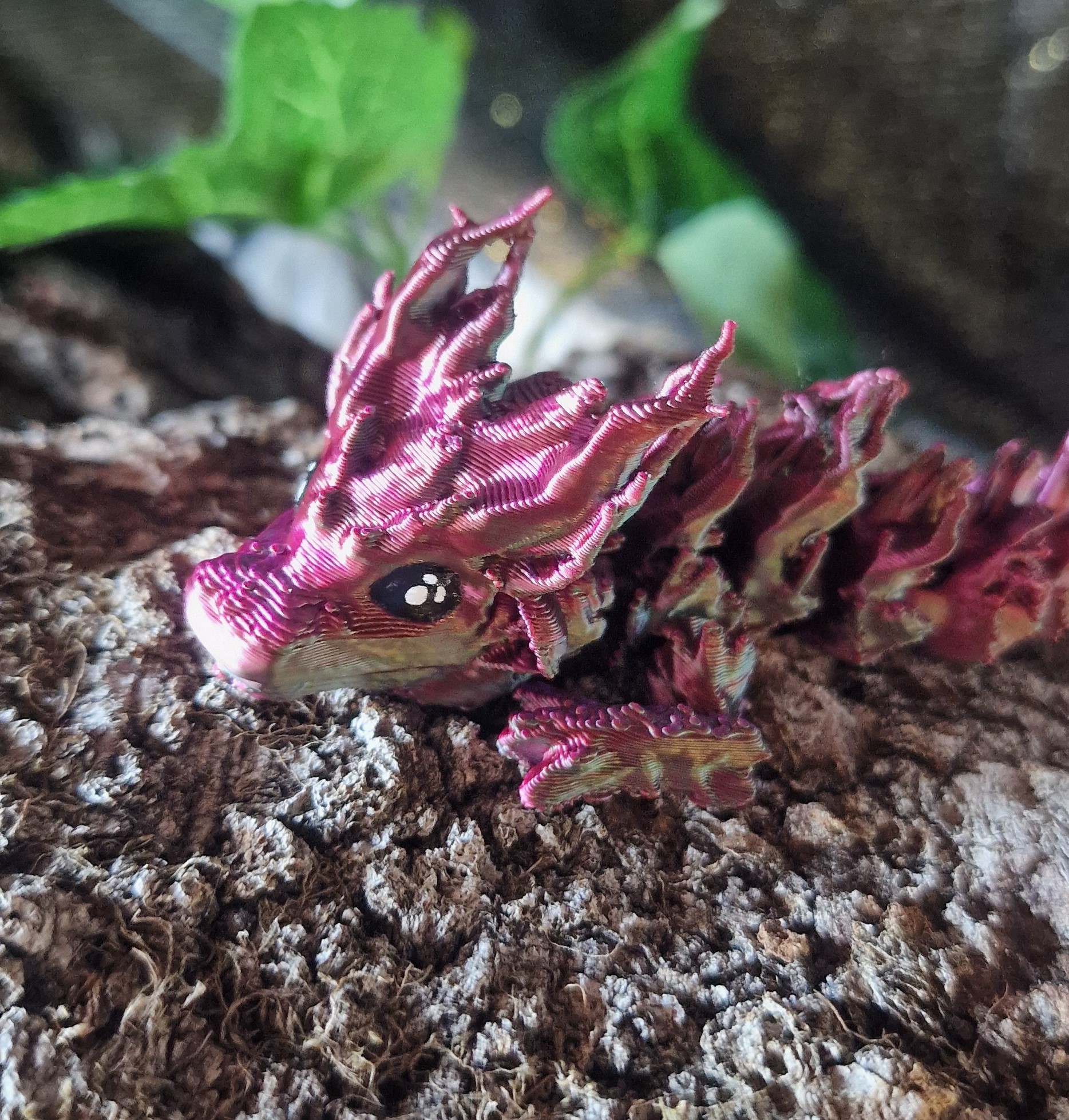 Bébé Dragon des Bois