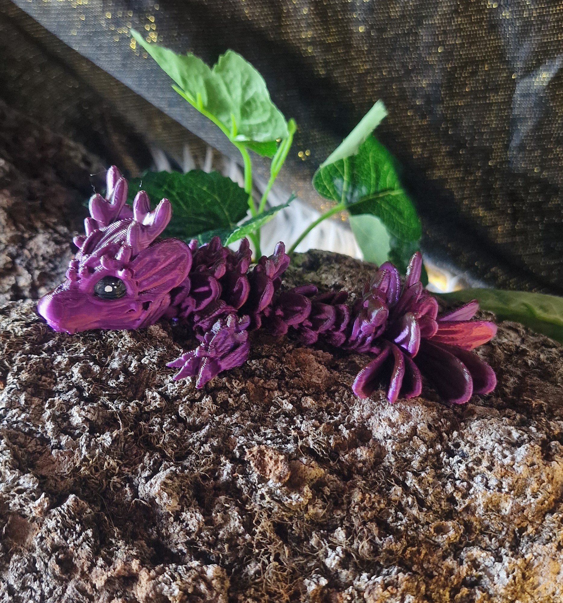 Bébé Dragon de Gui