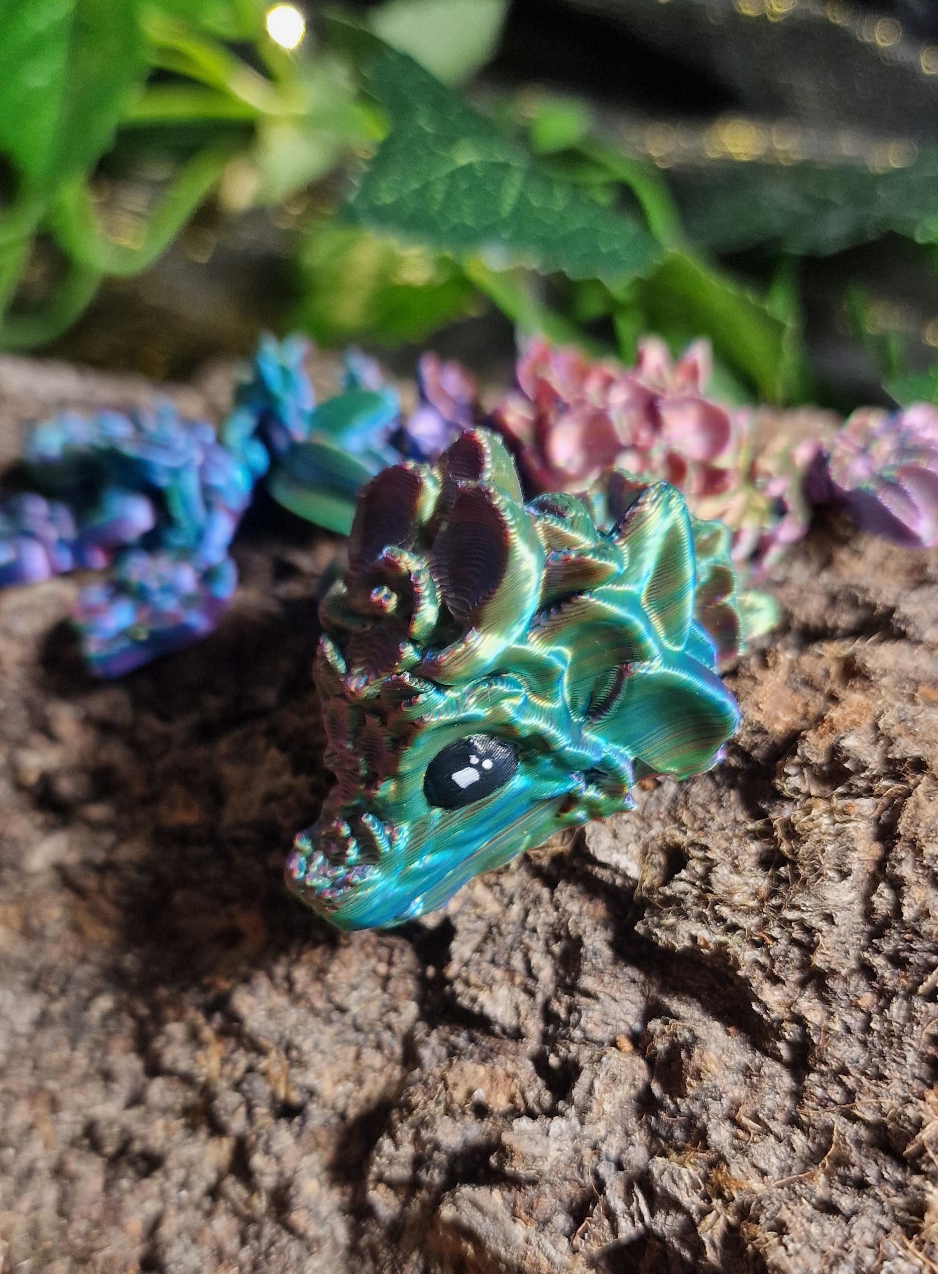 Bébé Dragon d'Orchidées