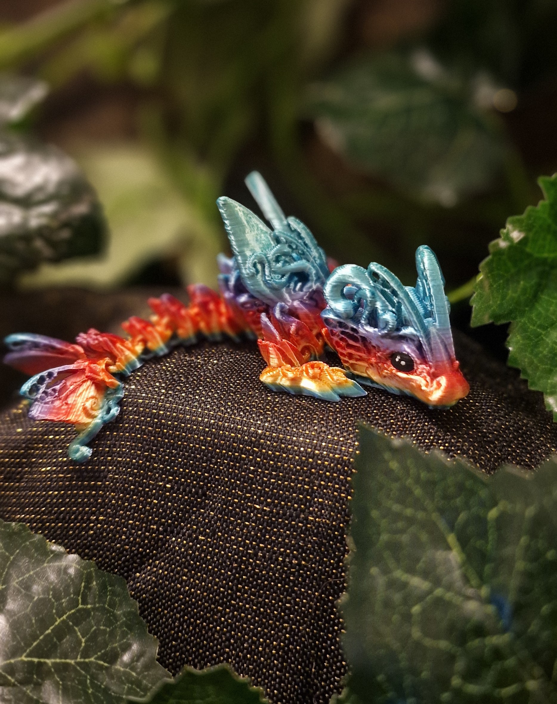 Bébé Dragon-Papillon