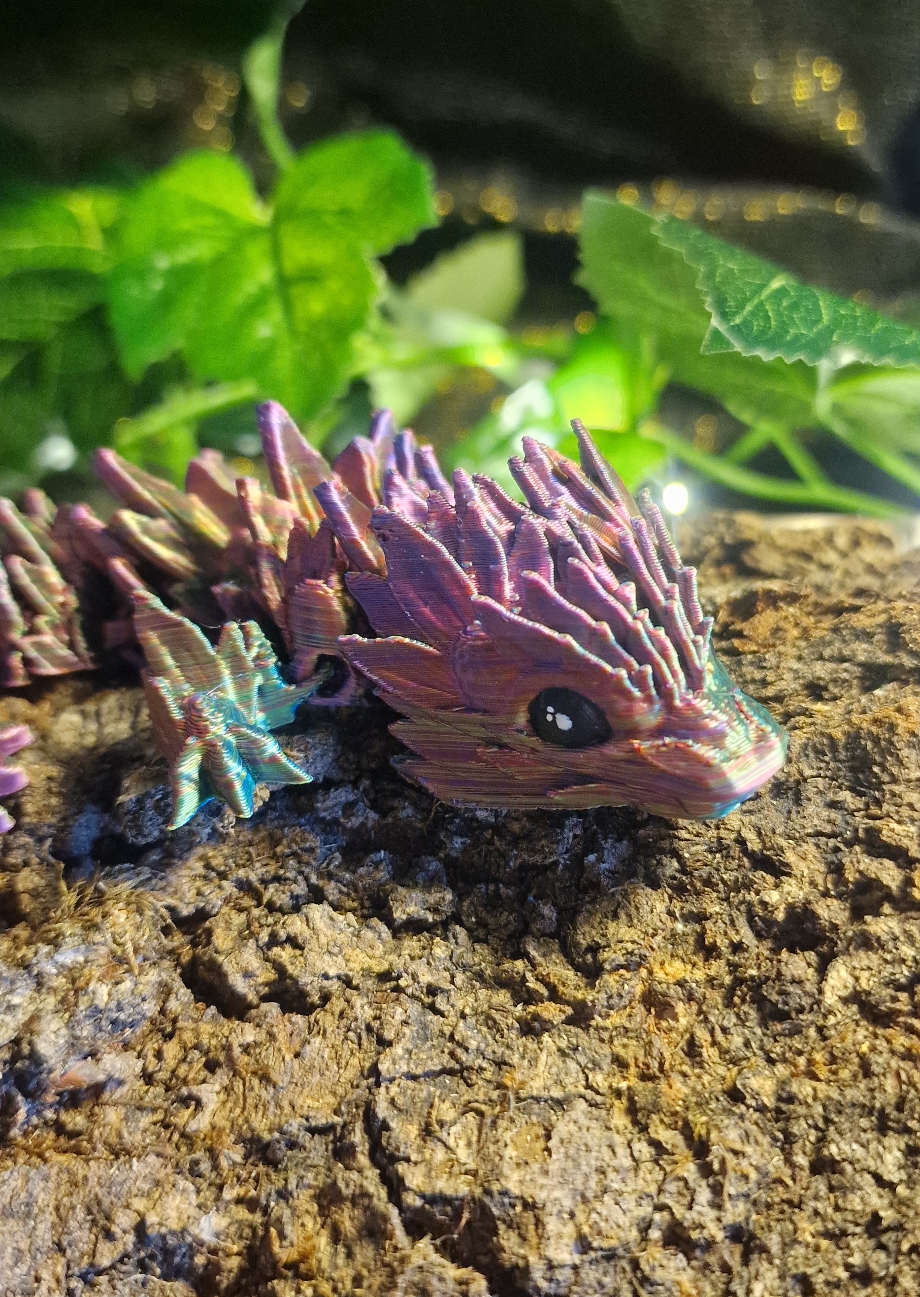 Bébé Dragon de Tournesol