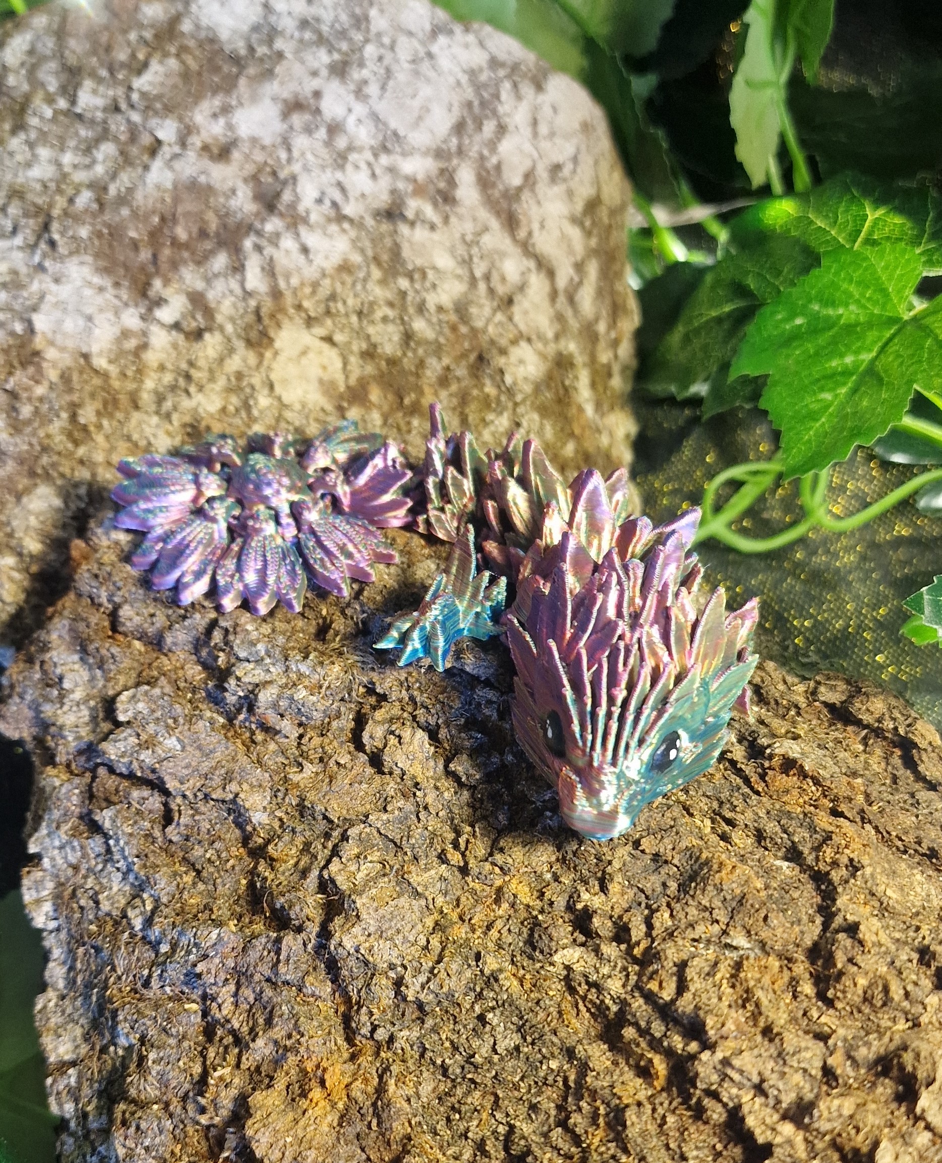 Bébé Dragon de Tournesol