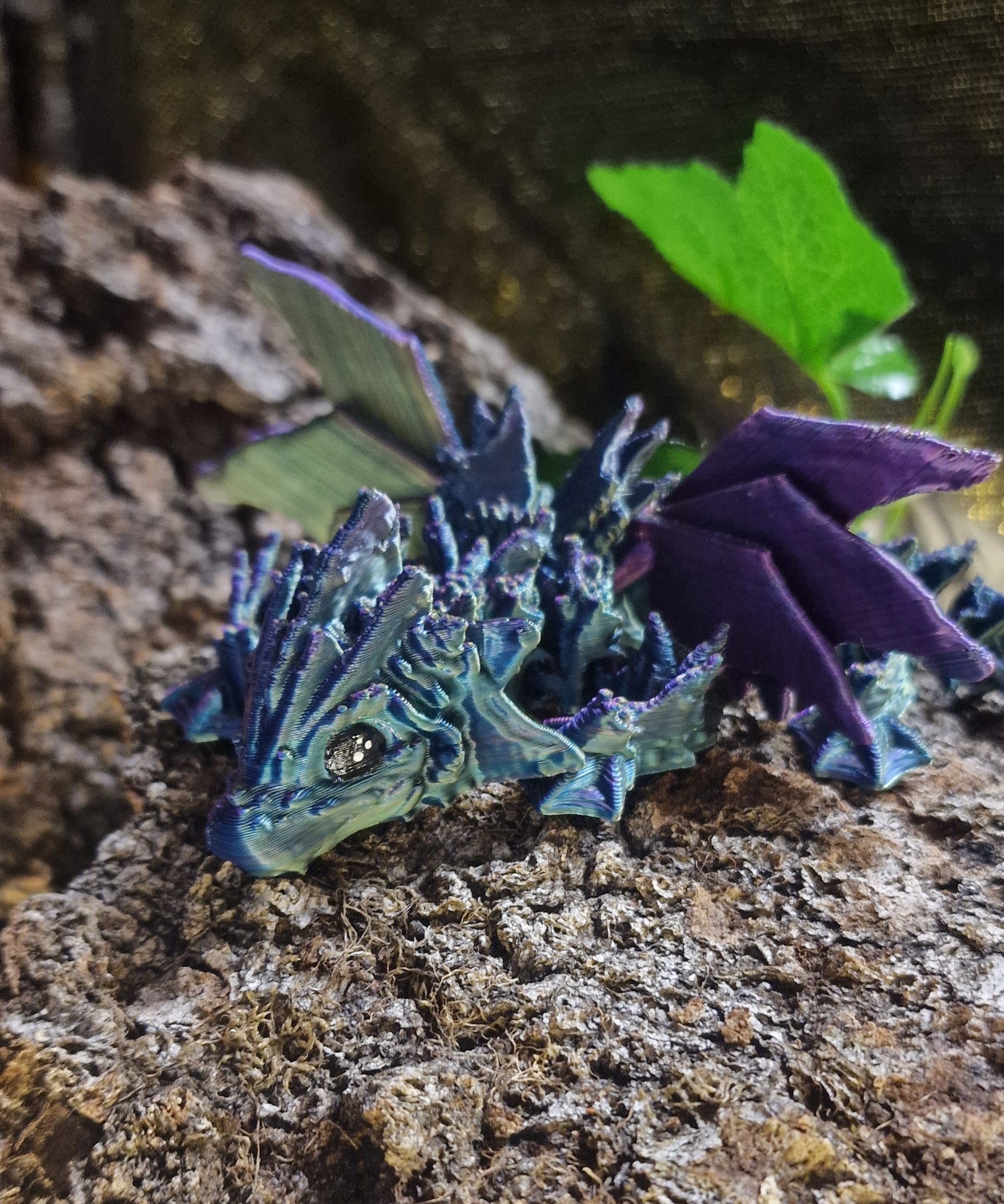 Bébé Dragon de l'Océan Ailé