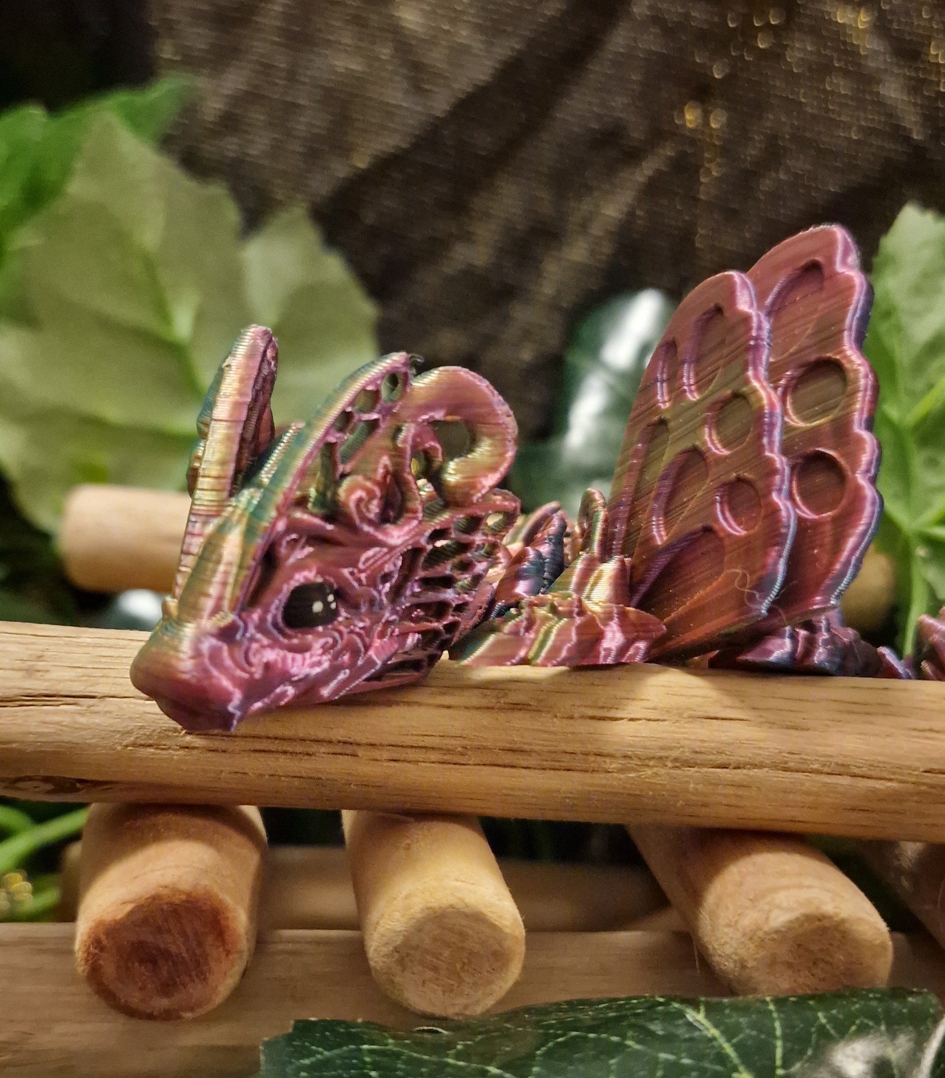 Bébé Dragon-Papillon Ailé