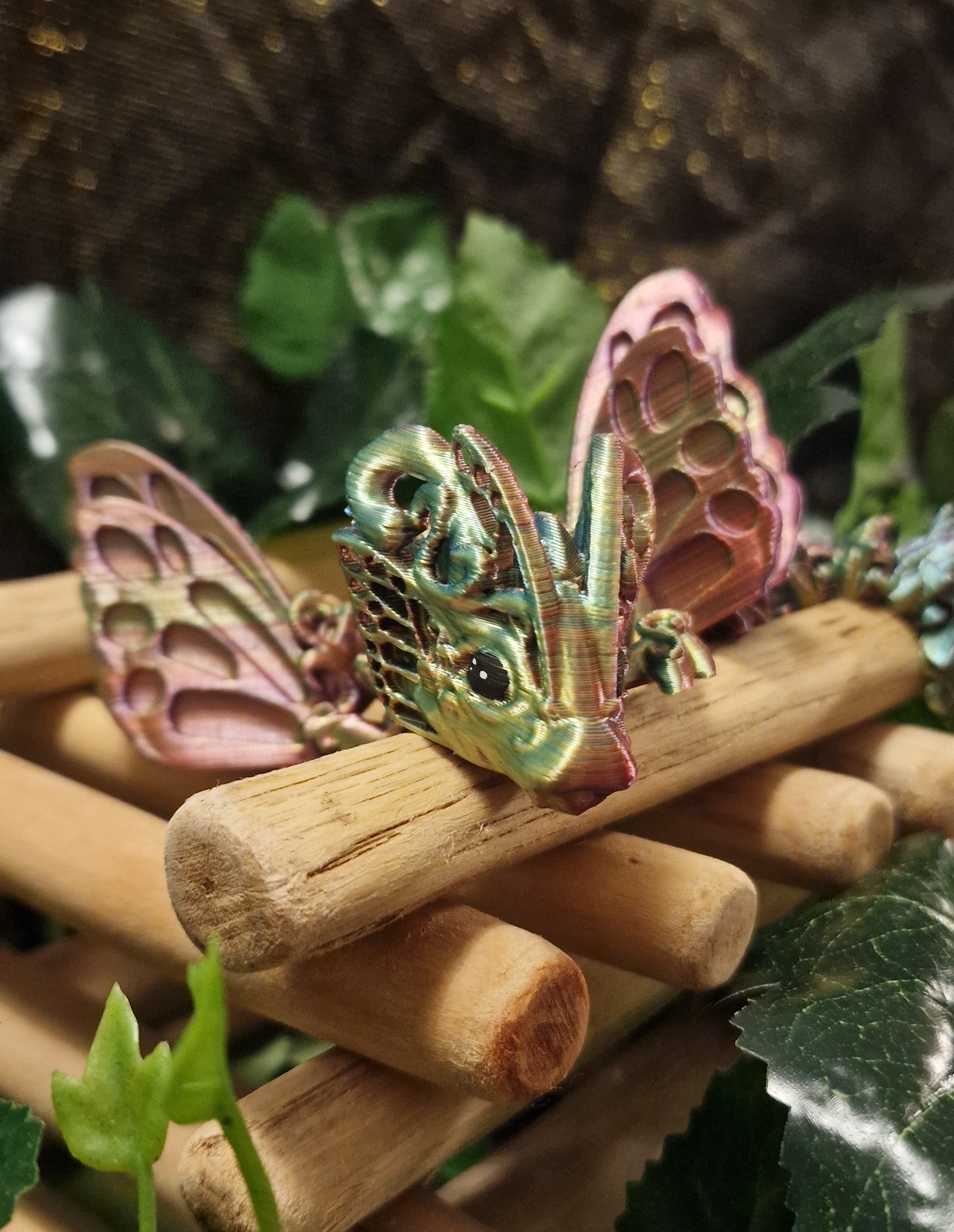 Bébé Dragon-Papillon Ailé