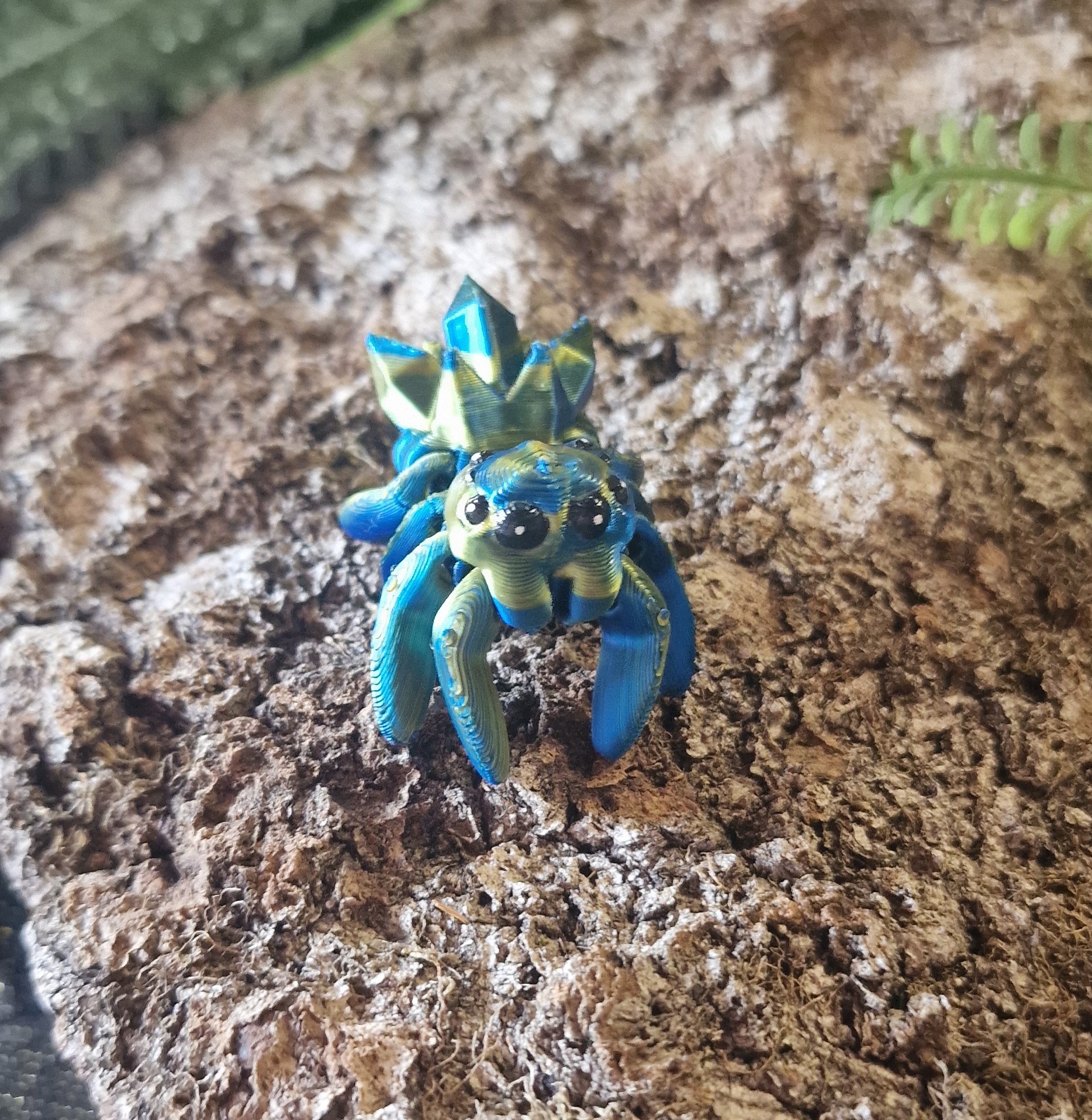 Petite araignée de Cristal