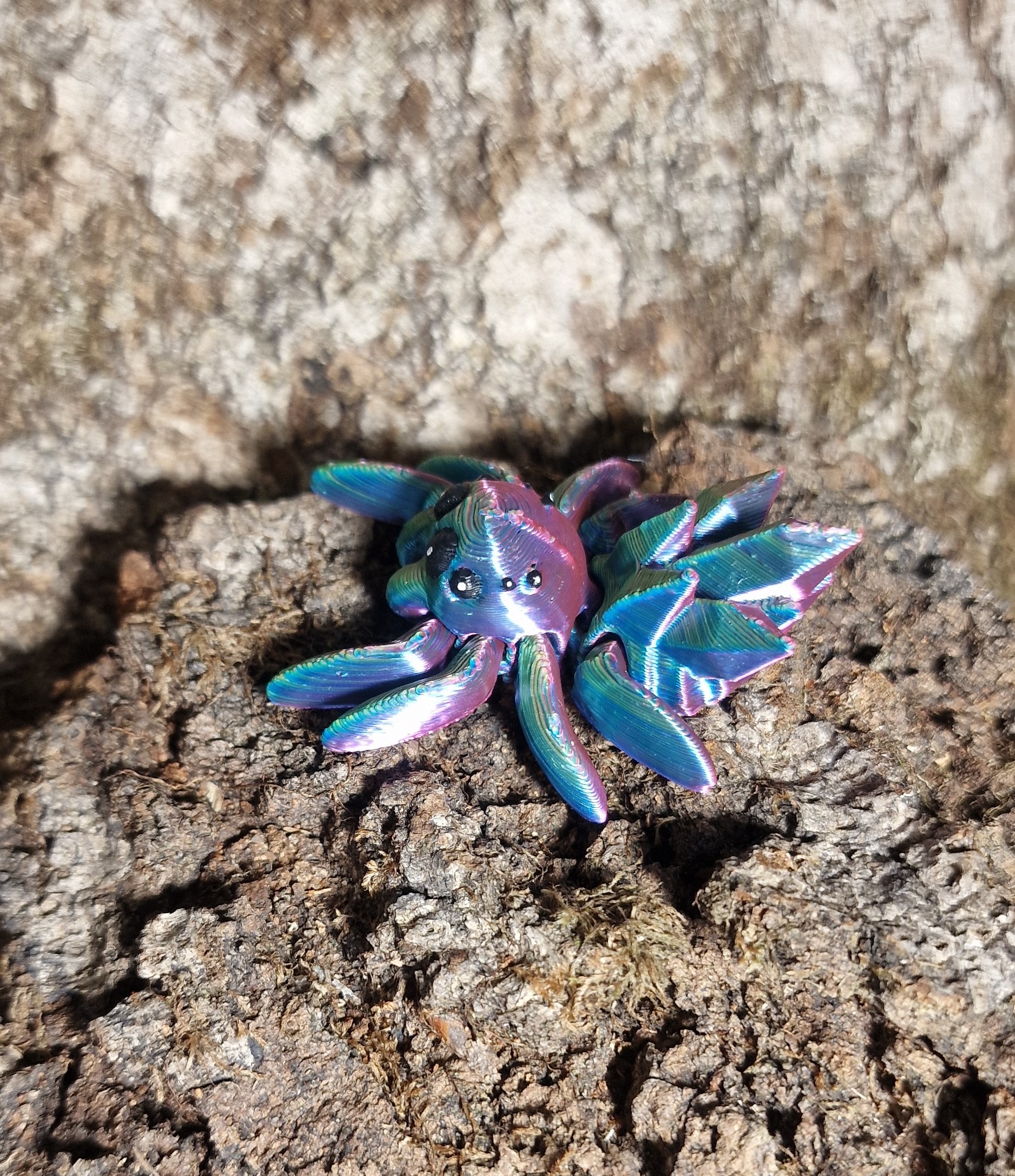 Petite araignée de Cristal
