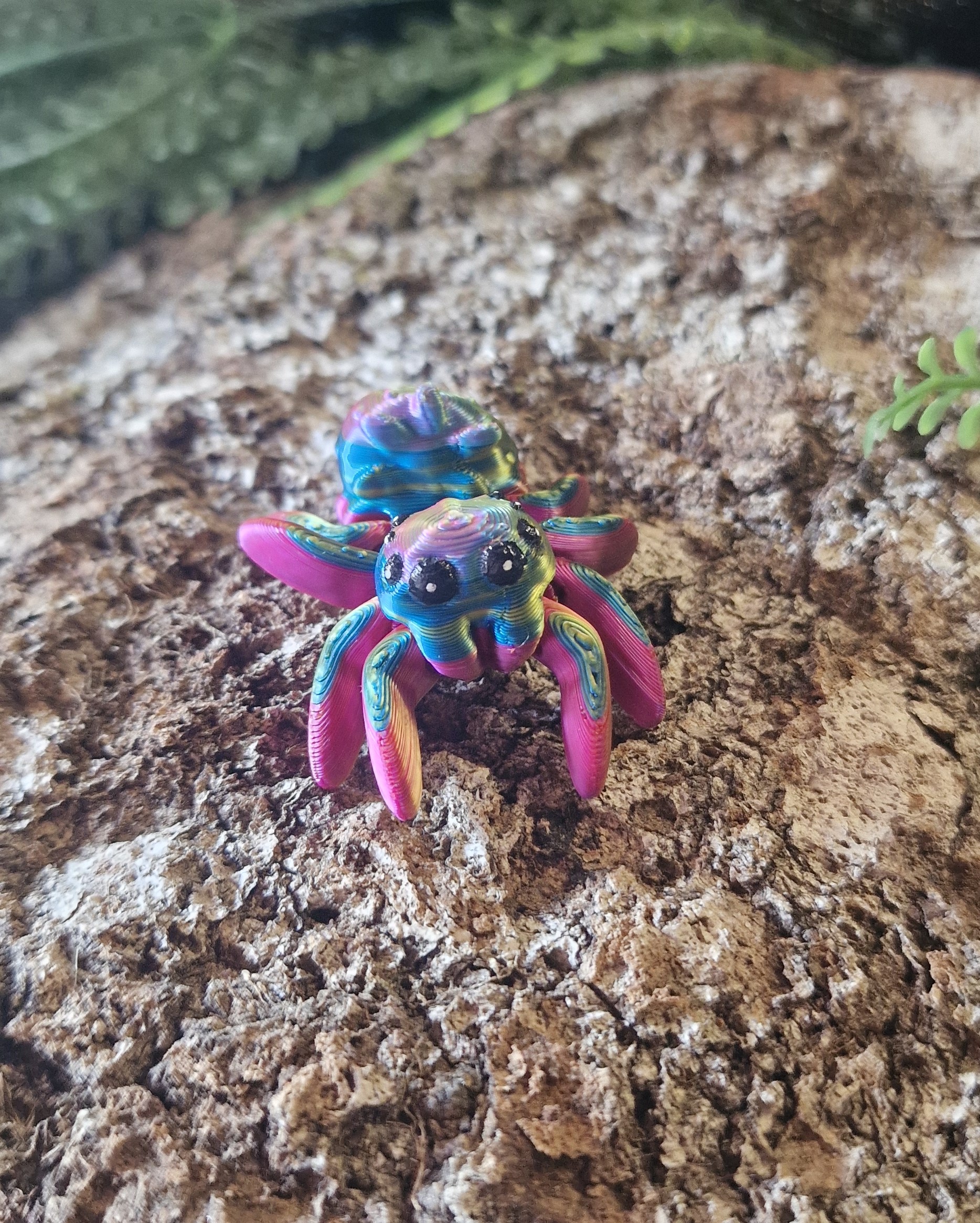 Petite araignée de Fraise