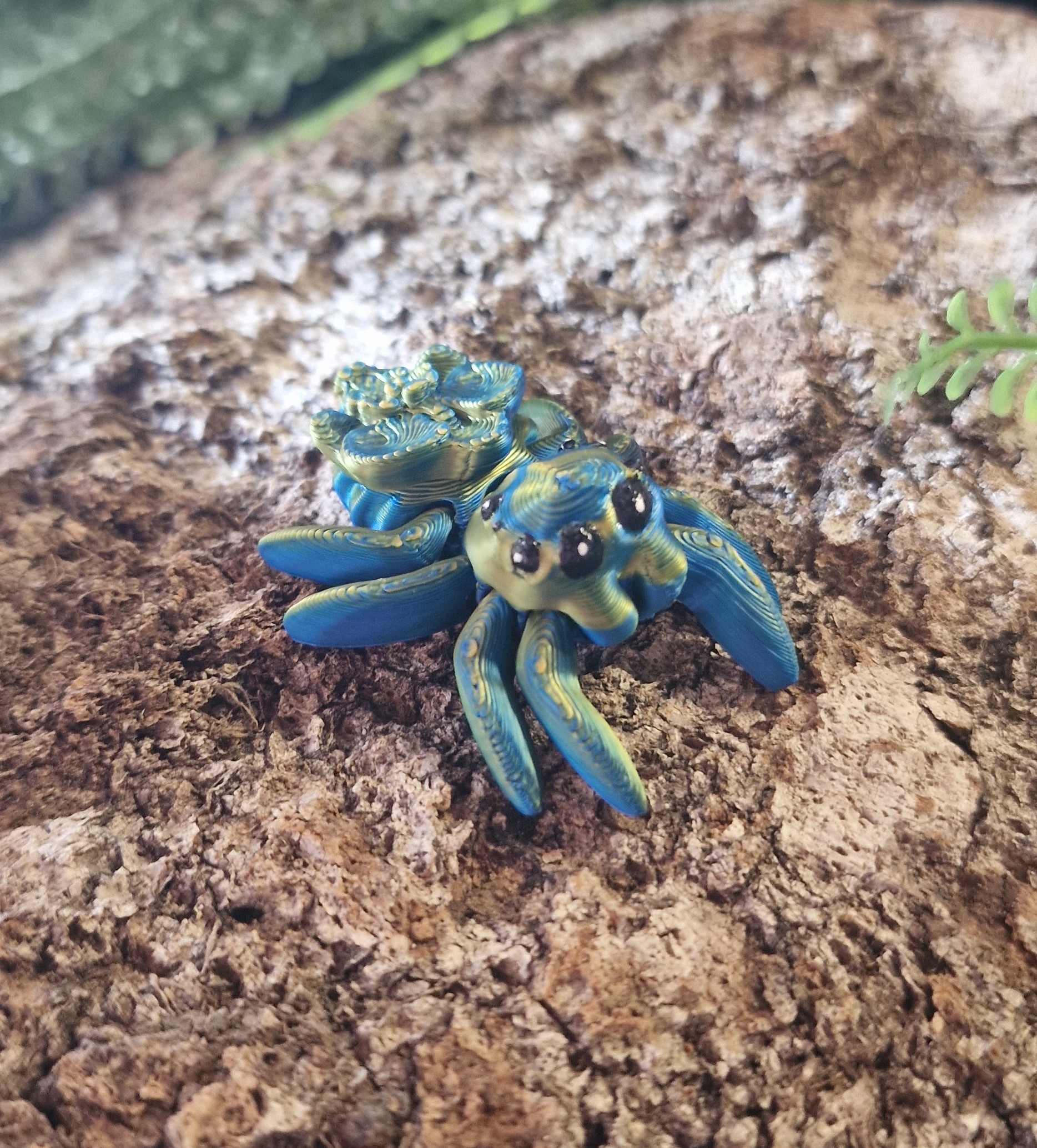 Petite araignée d'Orchidée