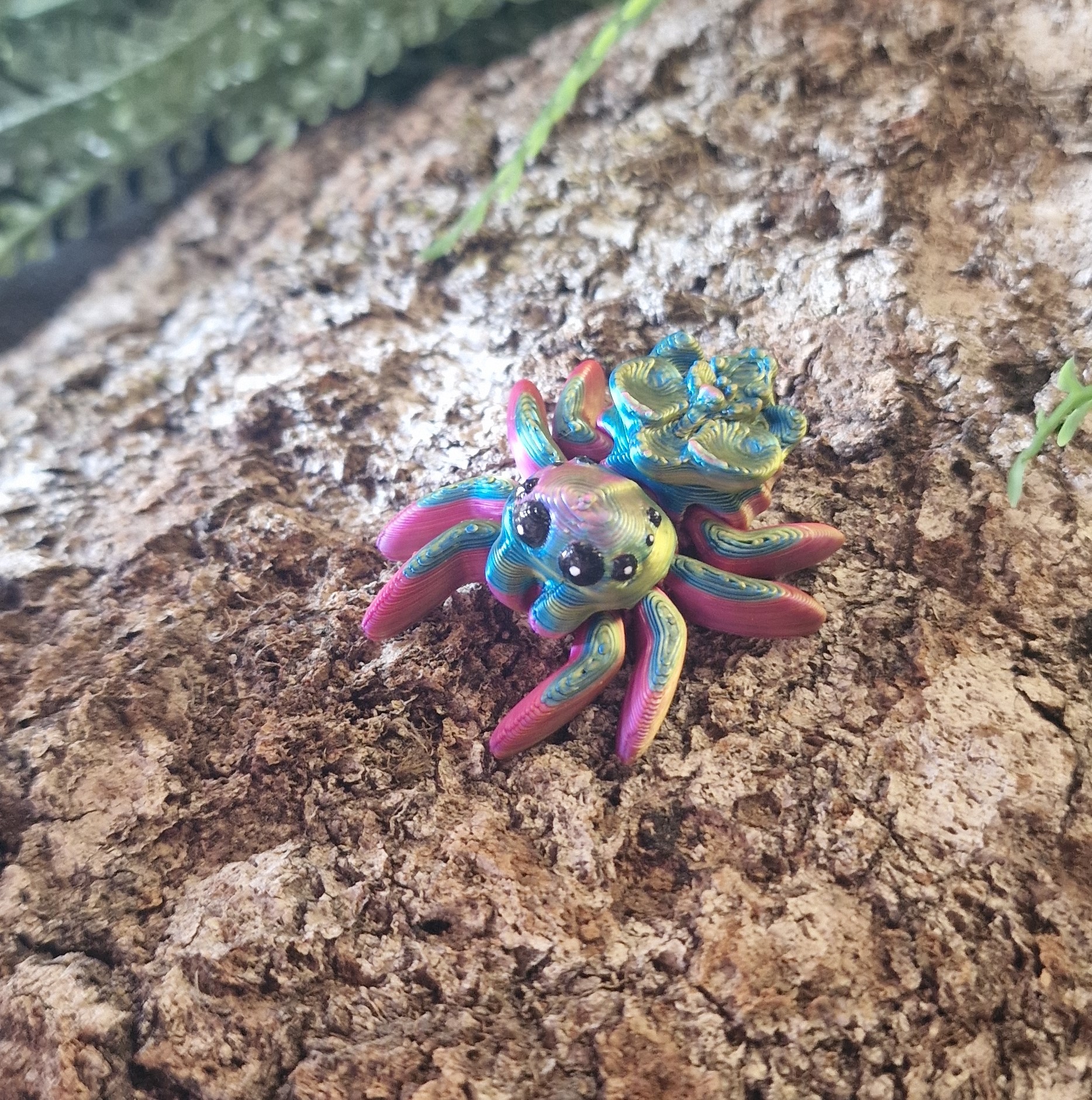 Petite araignée d'Orchidée