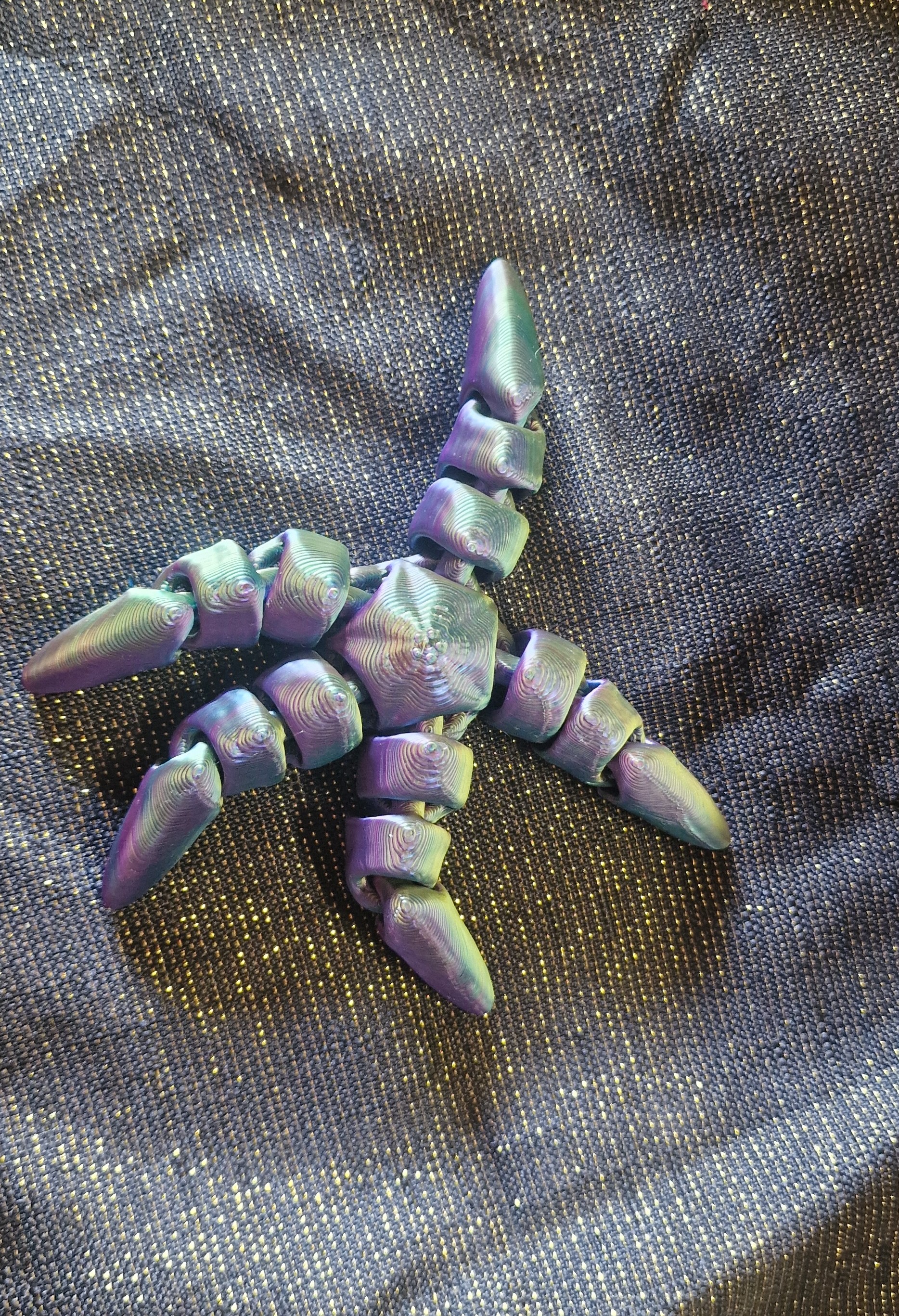 Bébé Etoile de Mer