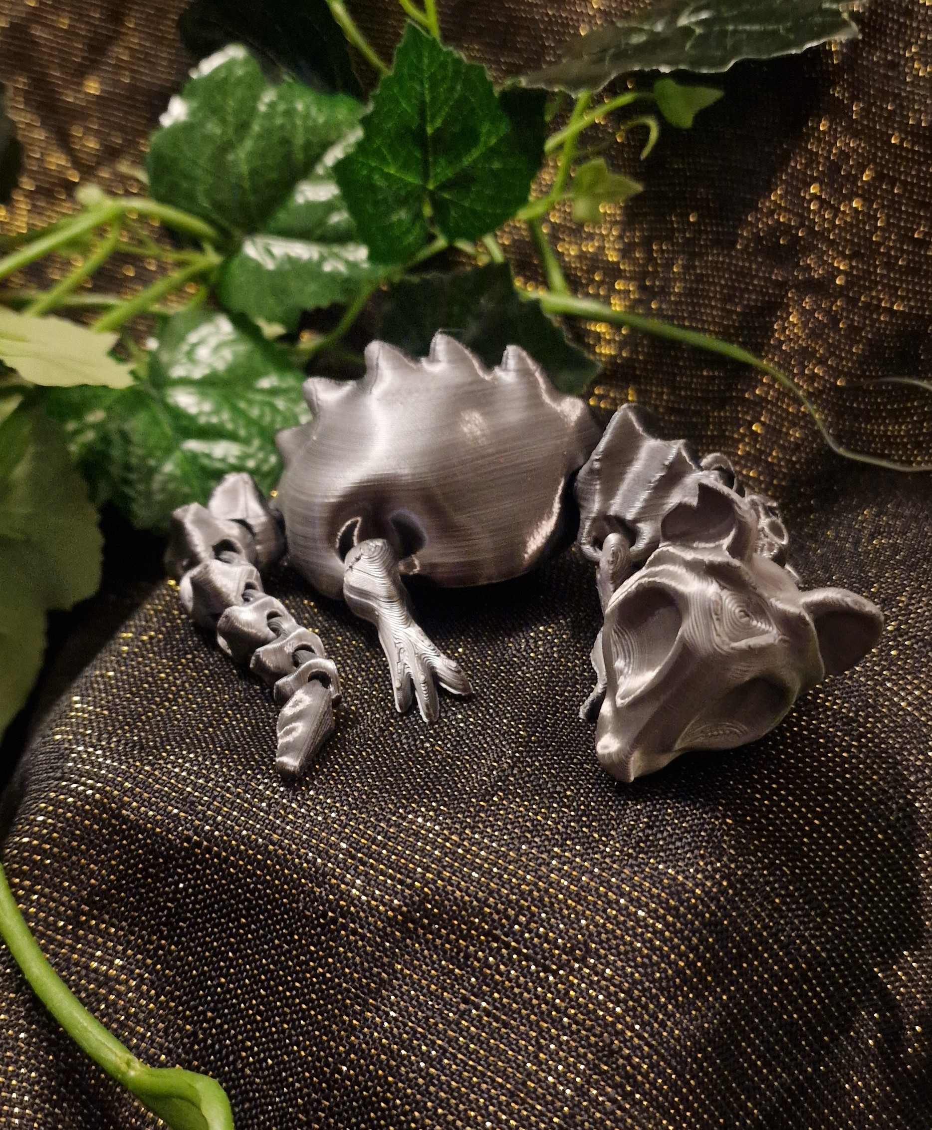 Rat en Os