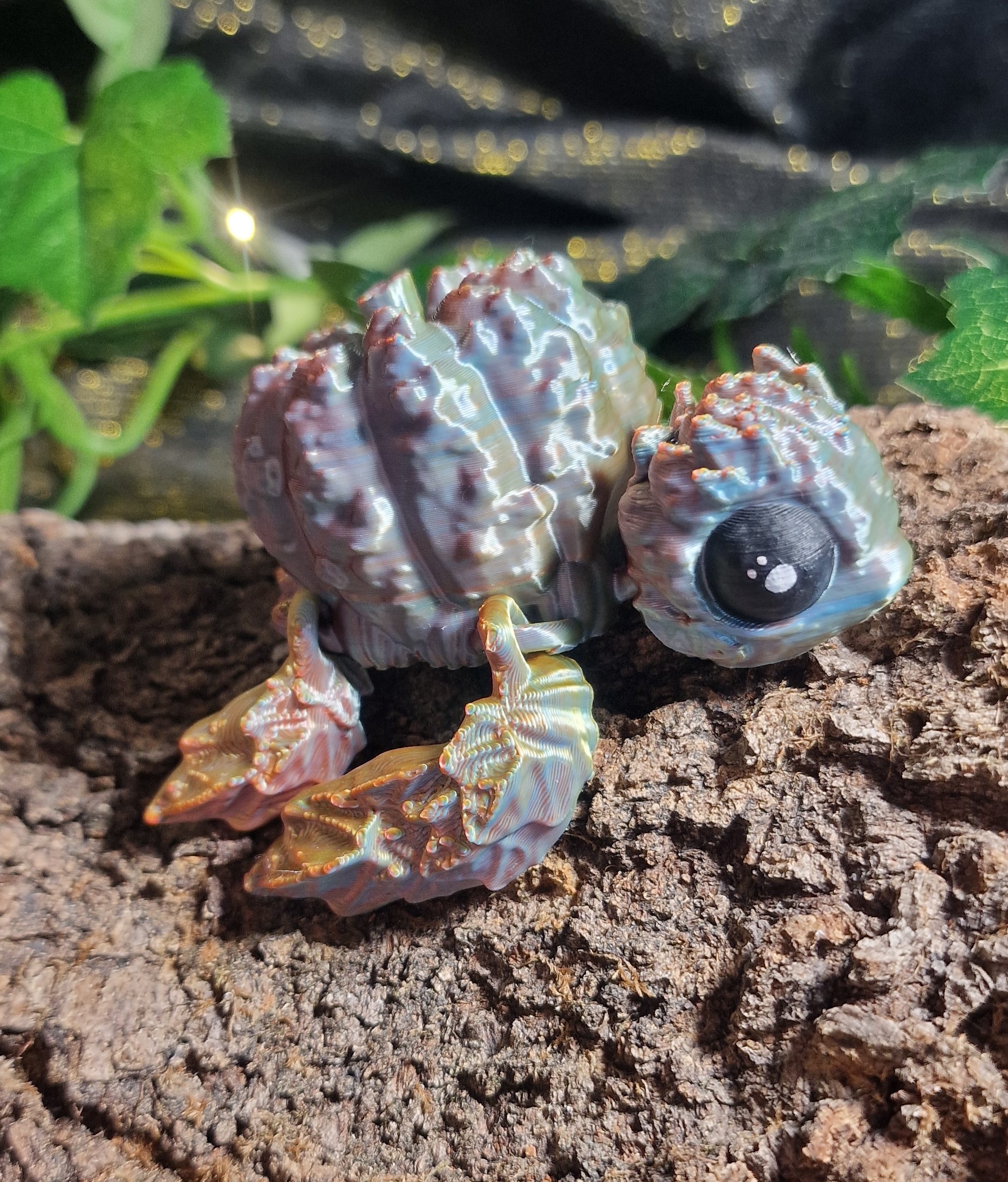Bébé Tortue Citrouille