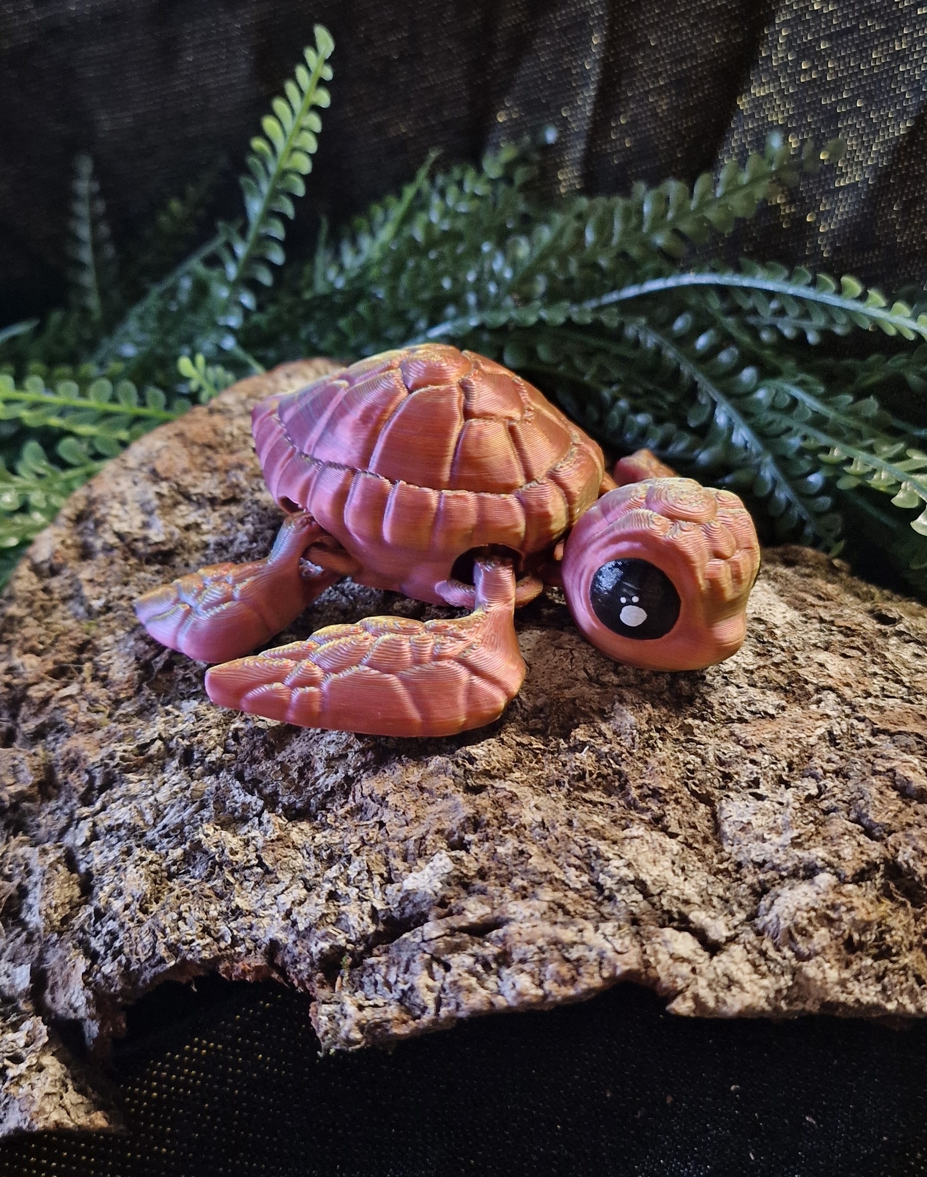 Bébé Tortue de Mer