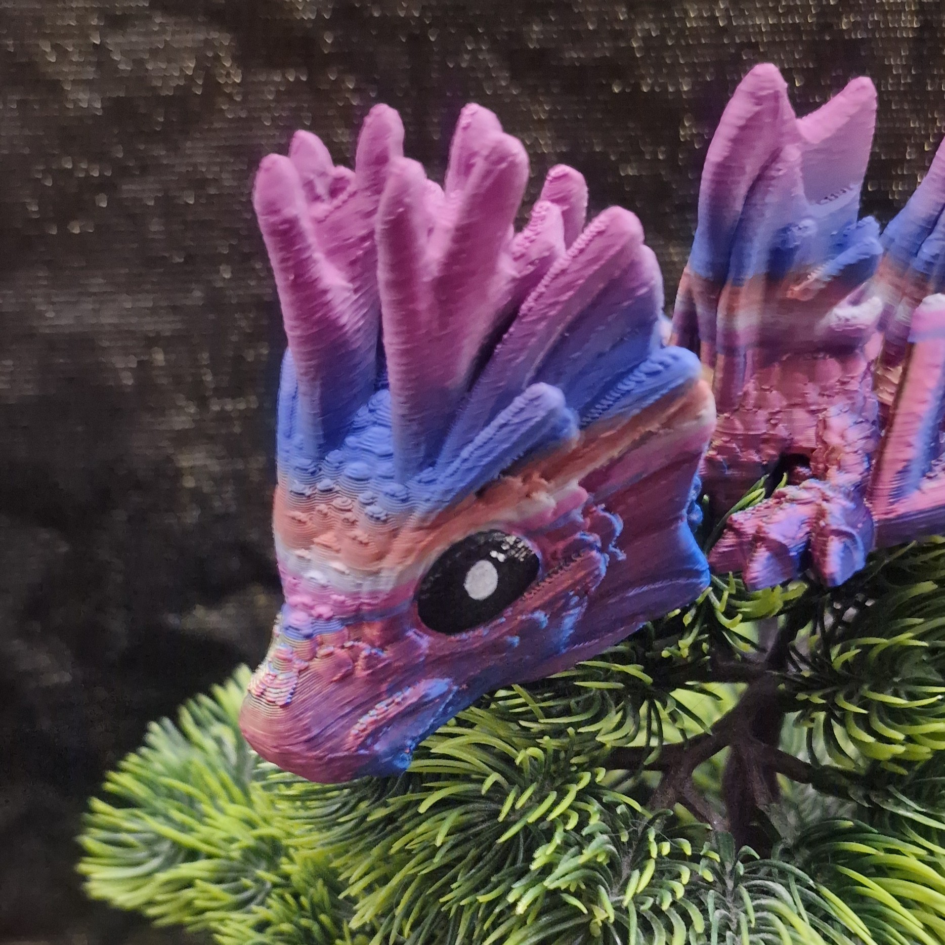 Bébé Dragon-Koï
