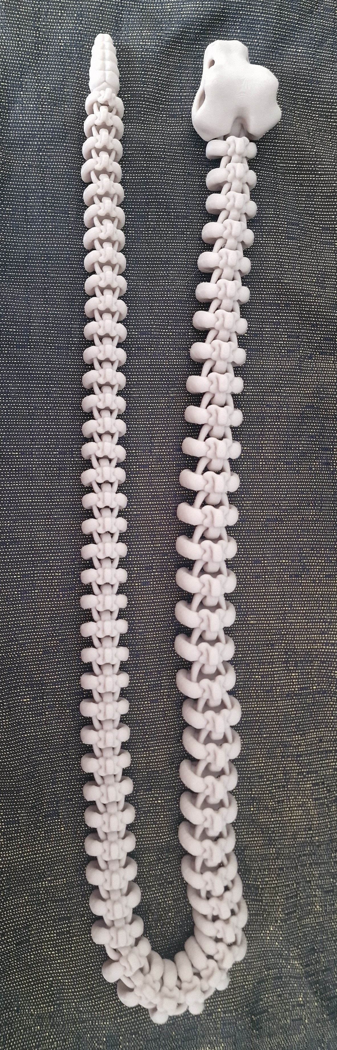 Crotale Squelettique