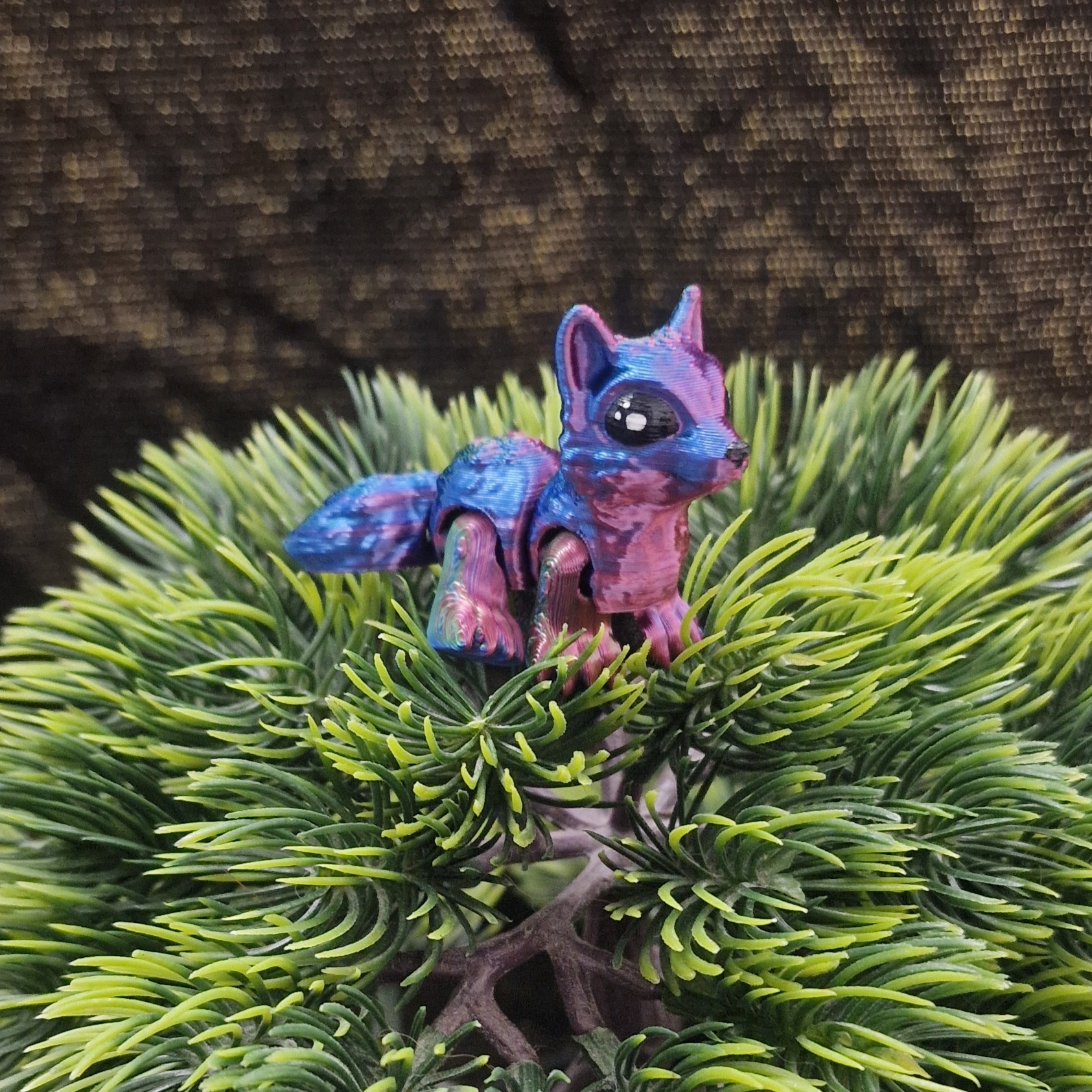 Nouveau-Né Louveteau