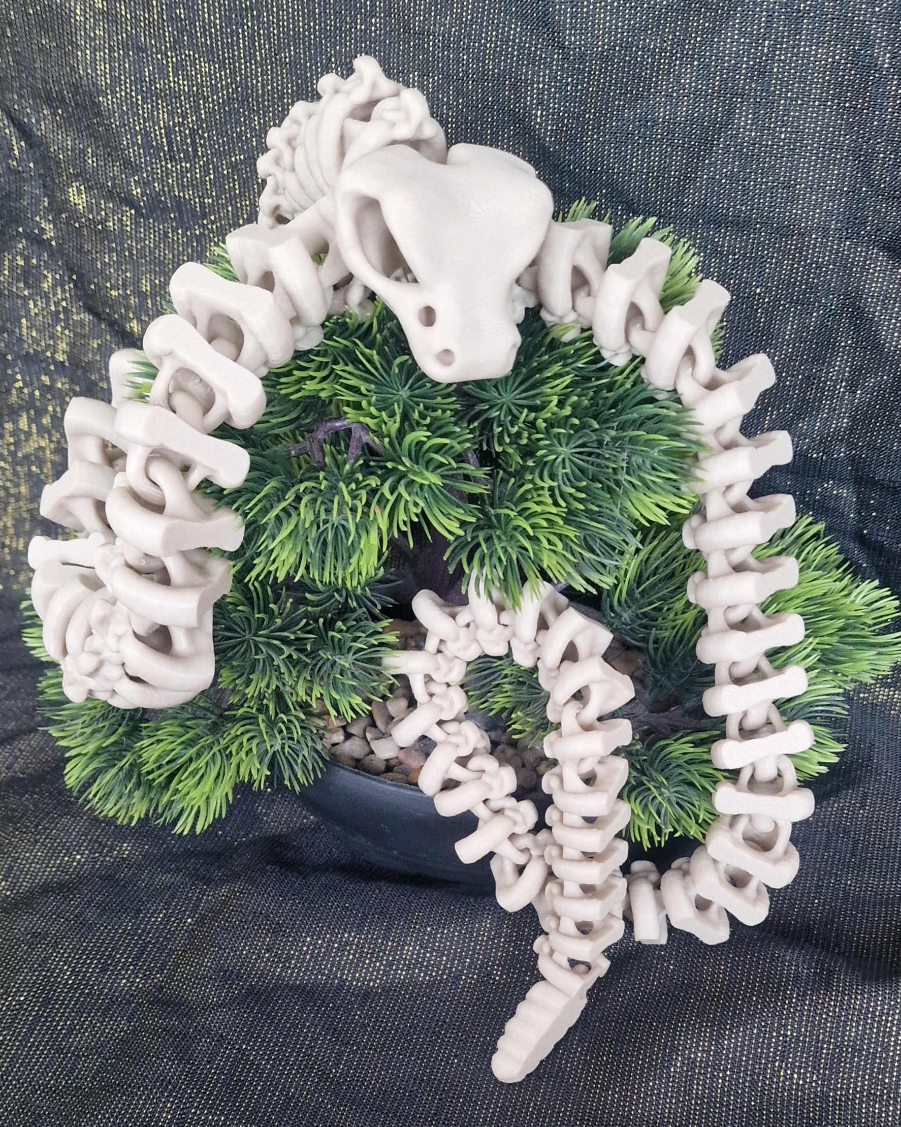 Crotale Squelettique